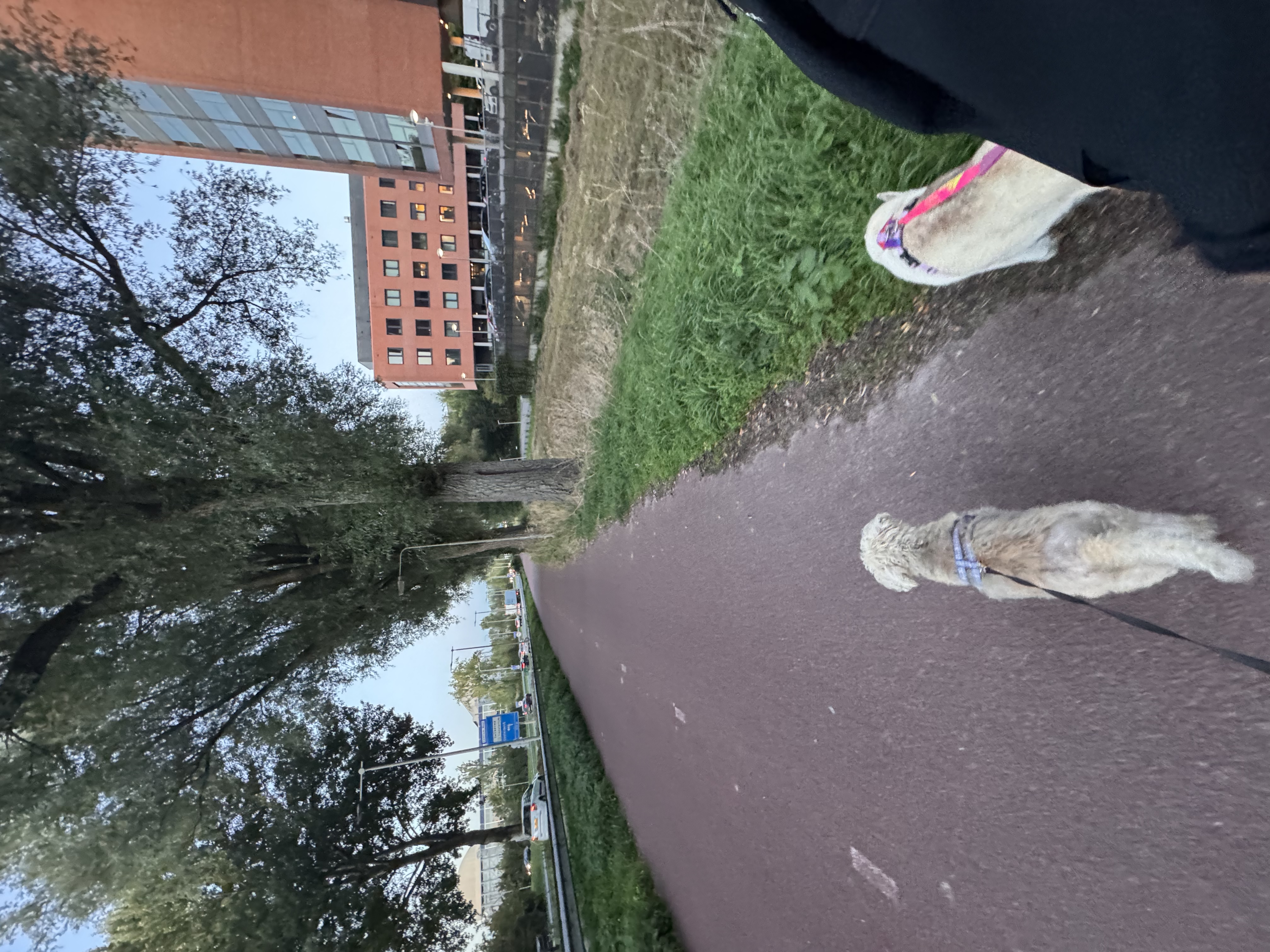 image-14