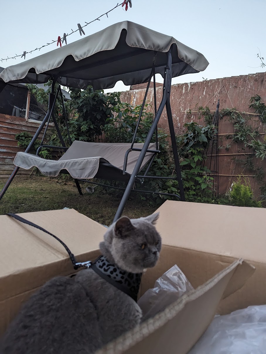 image-13