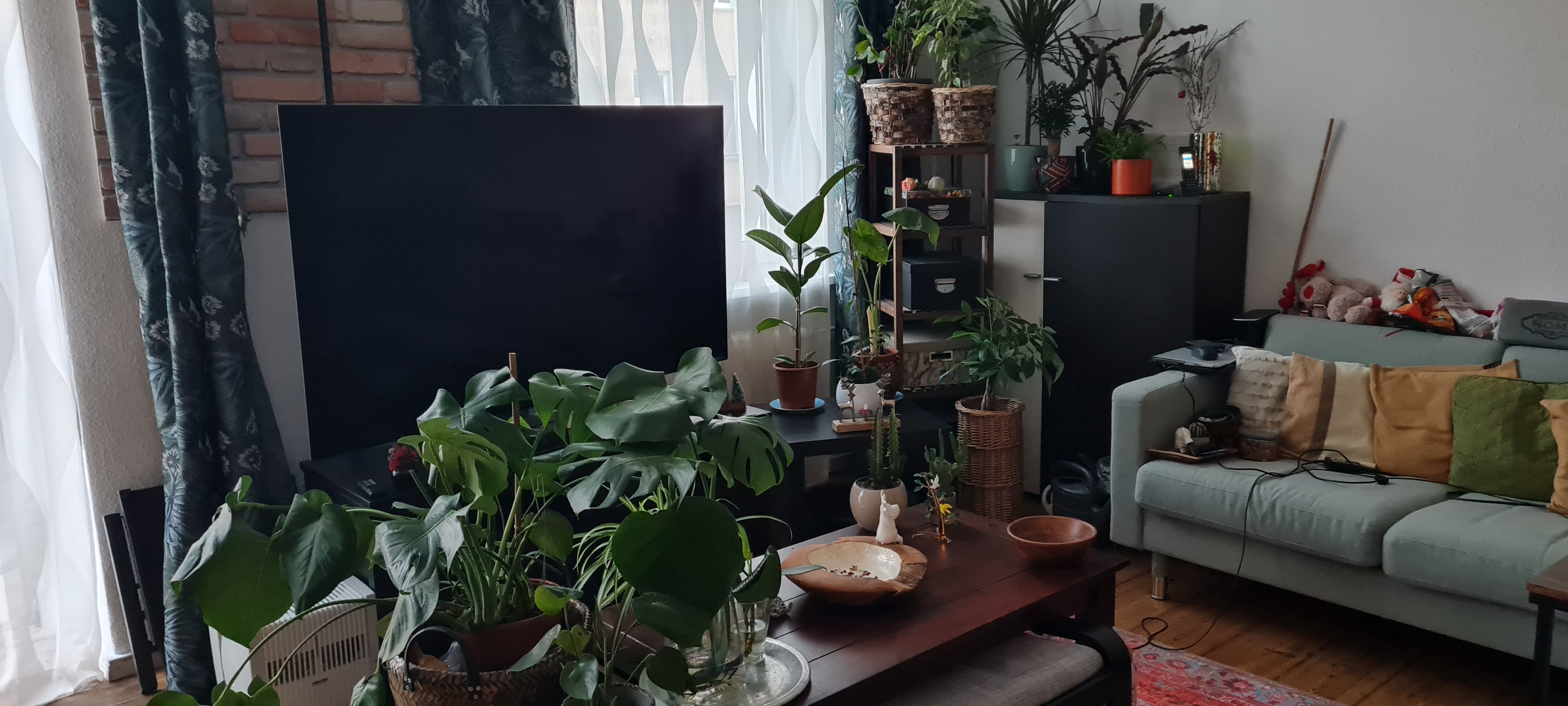 image-15