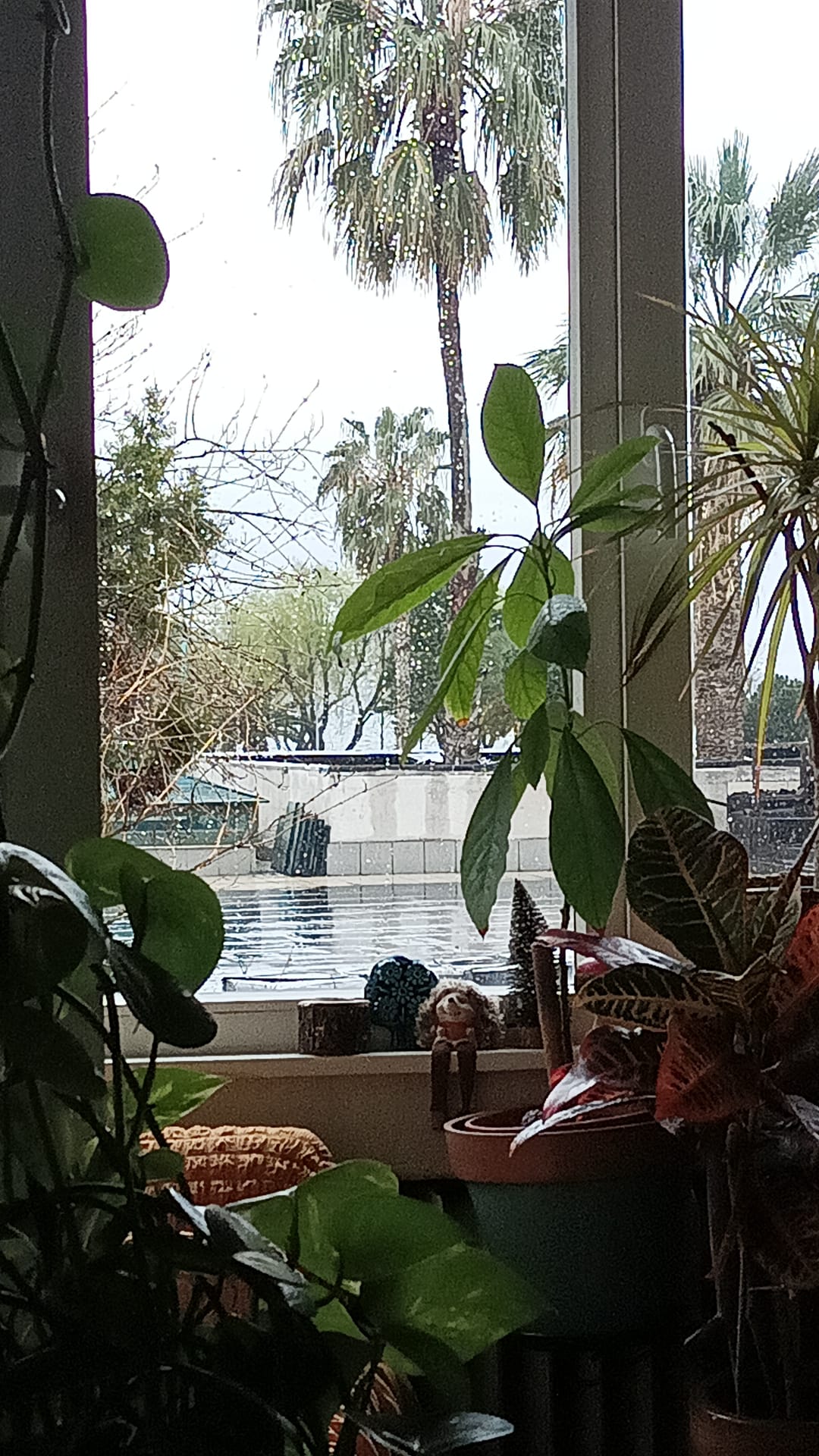 image-10