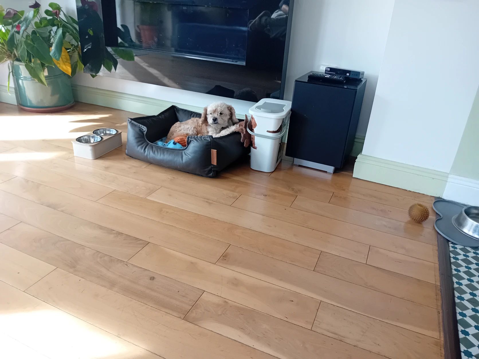 image-7