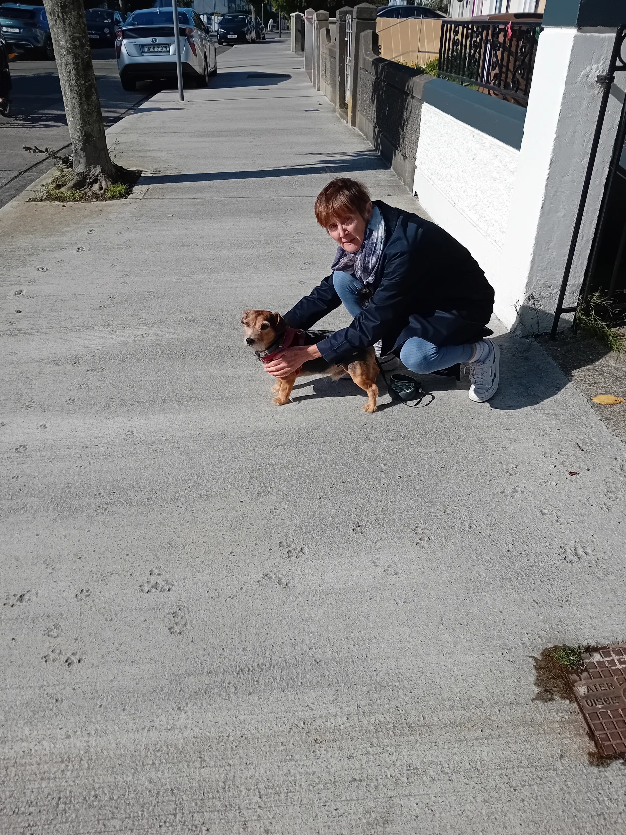 image-5