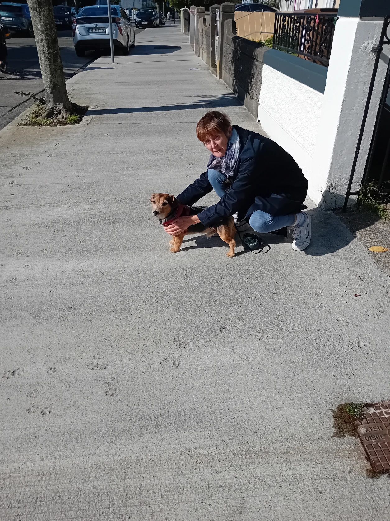 image-5