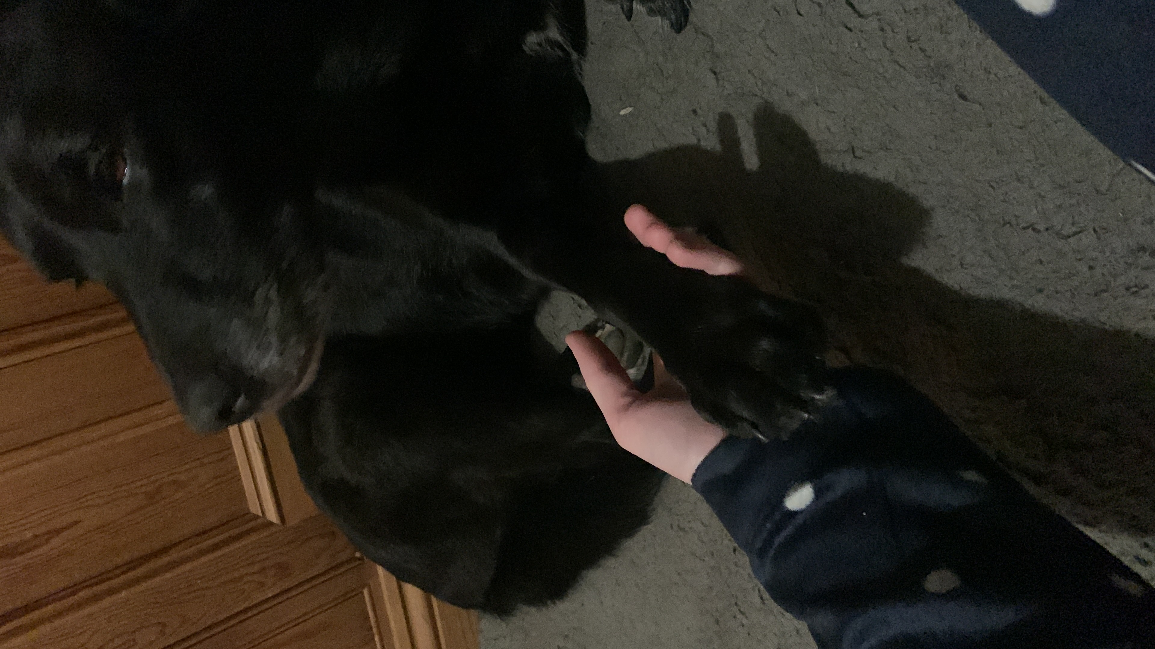 image-8