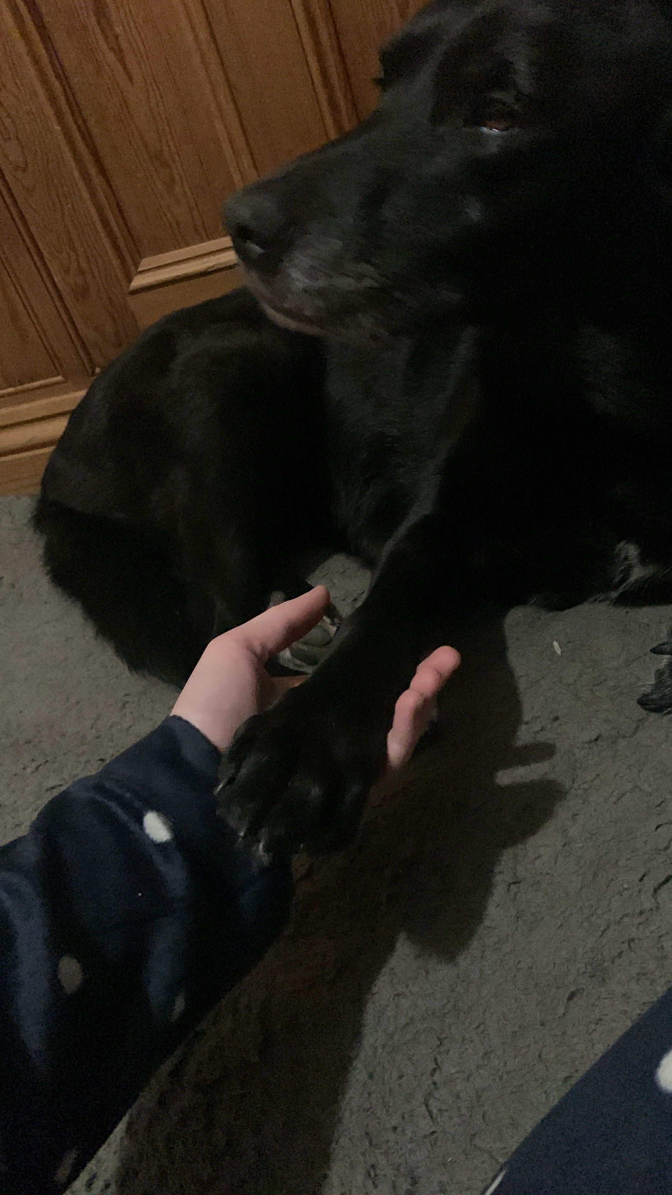 image-8