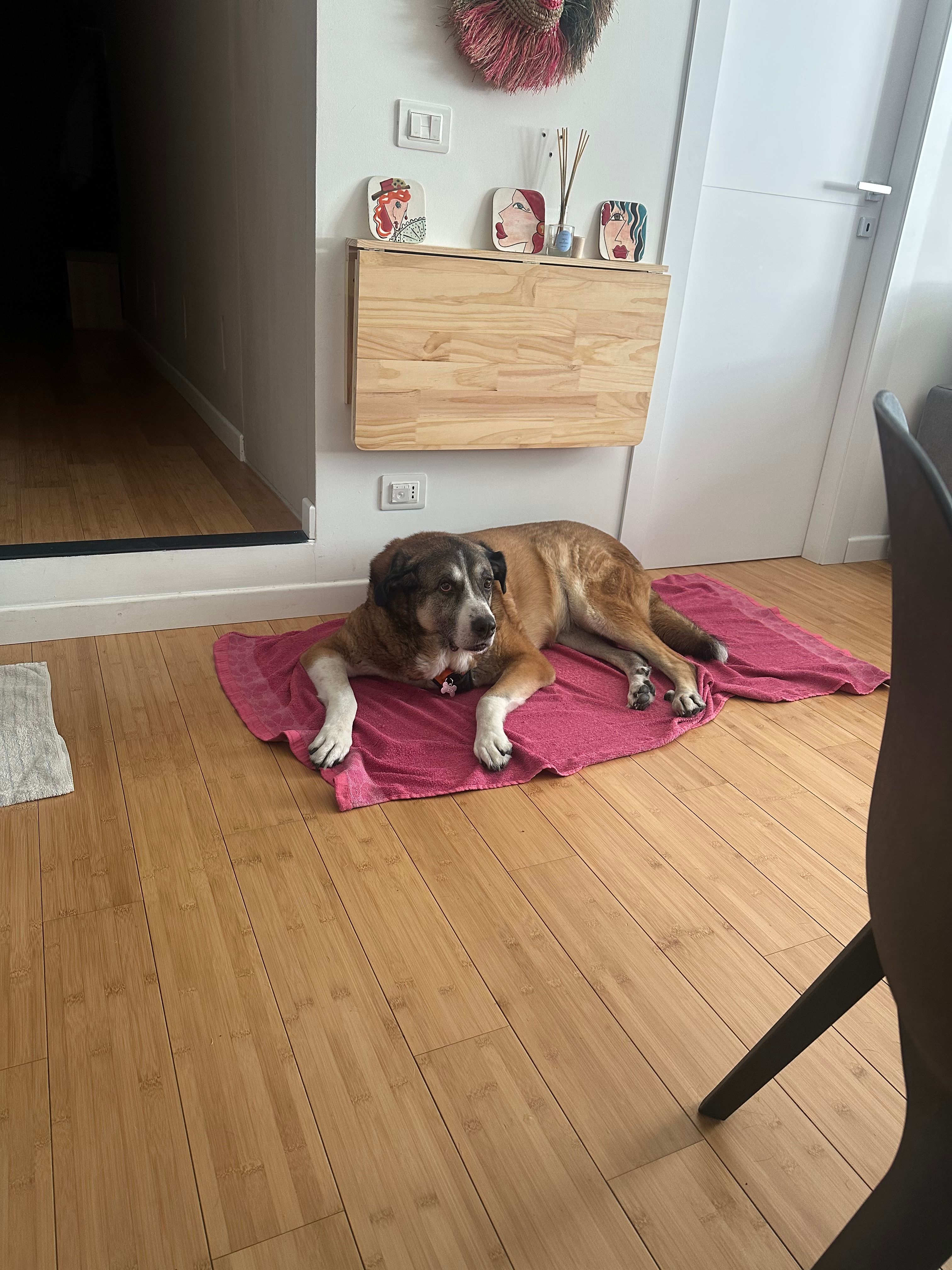 image-13
