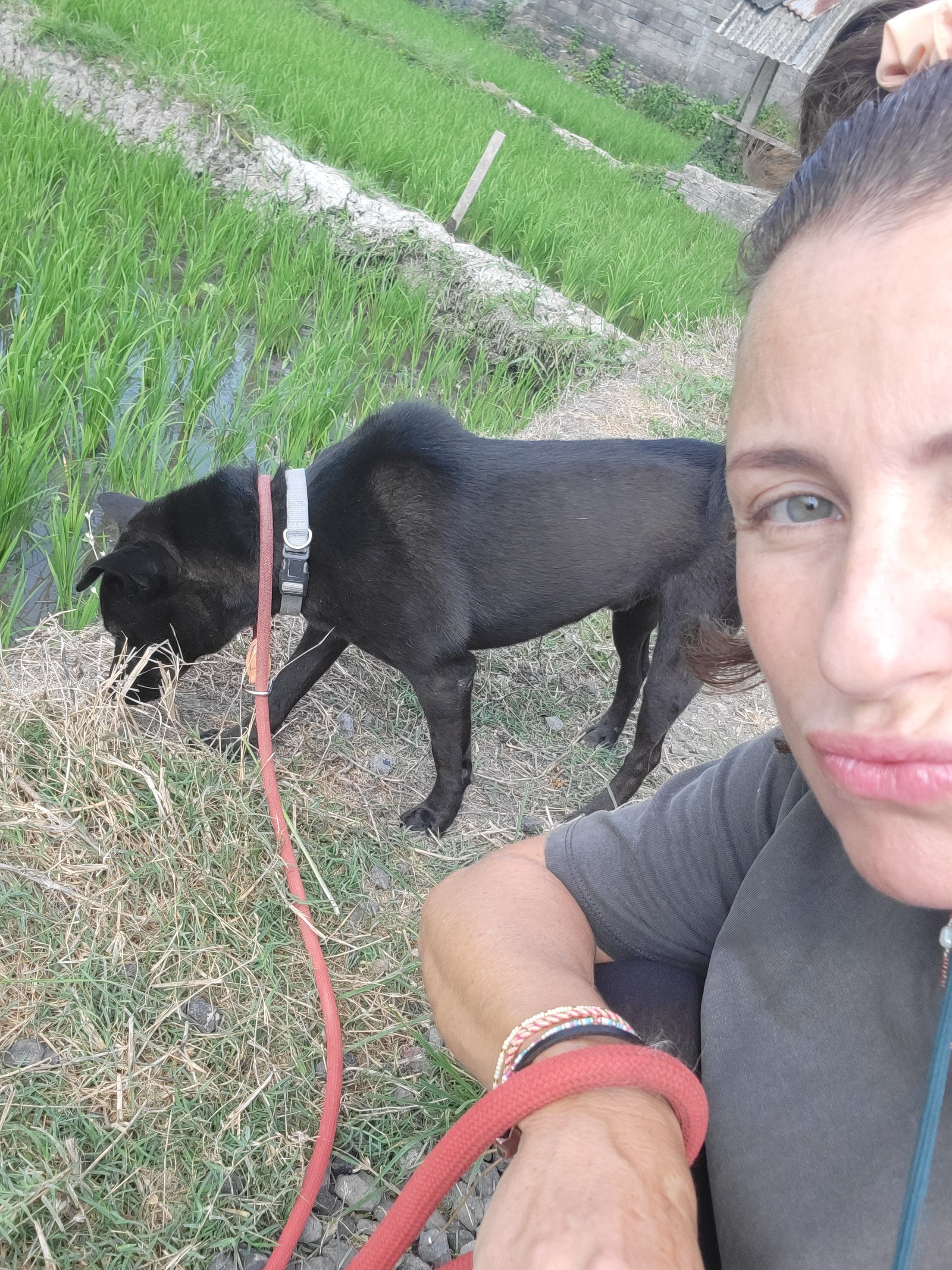image-5