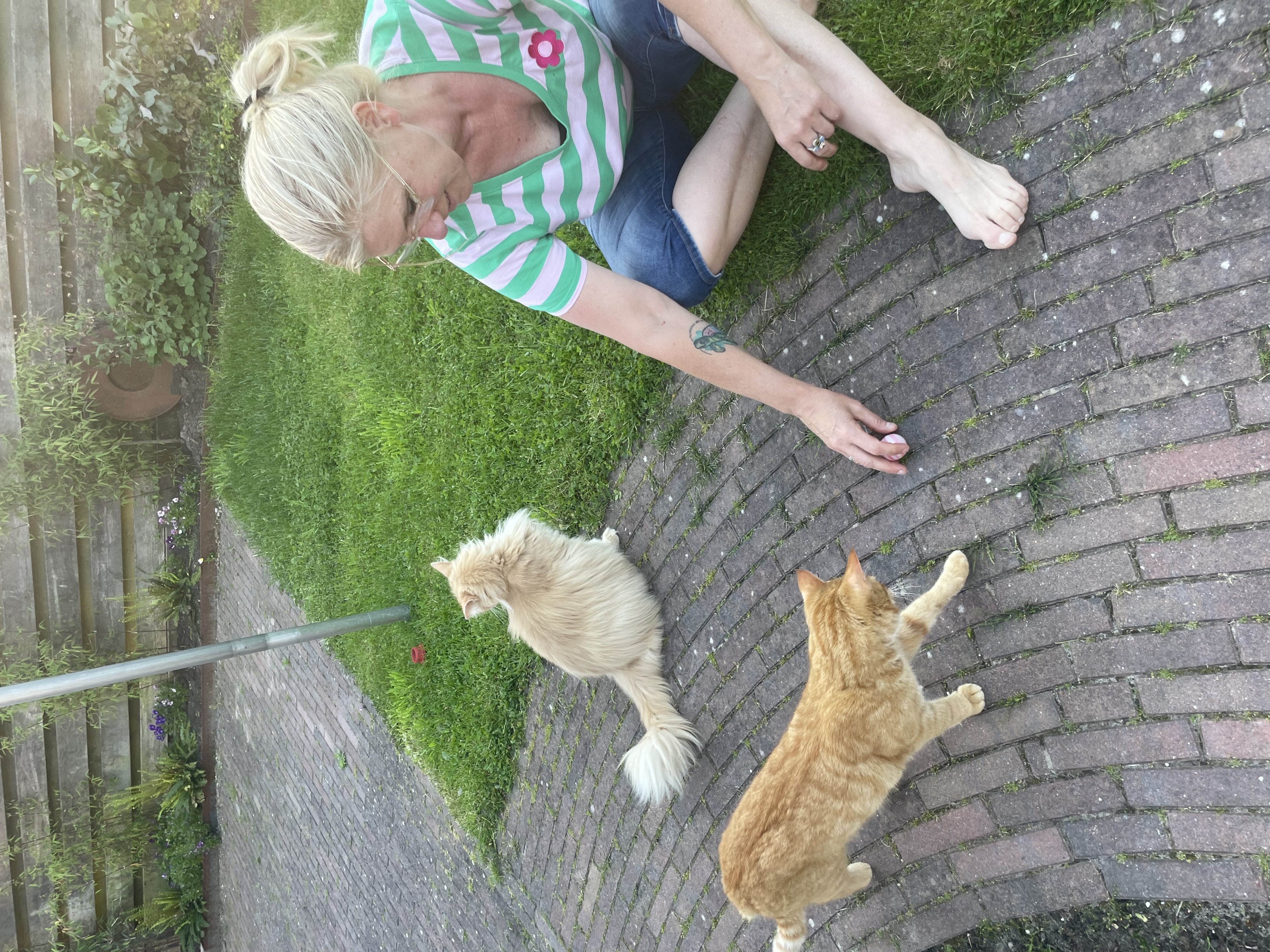 image-8