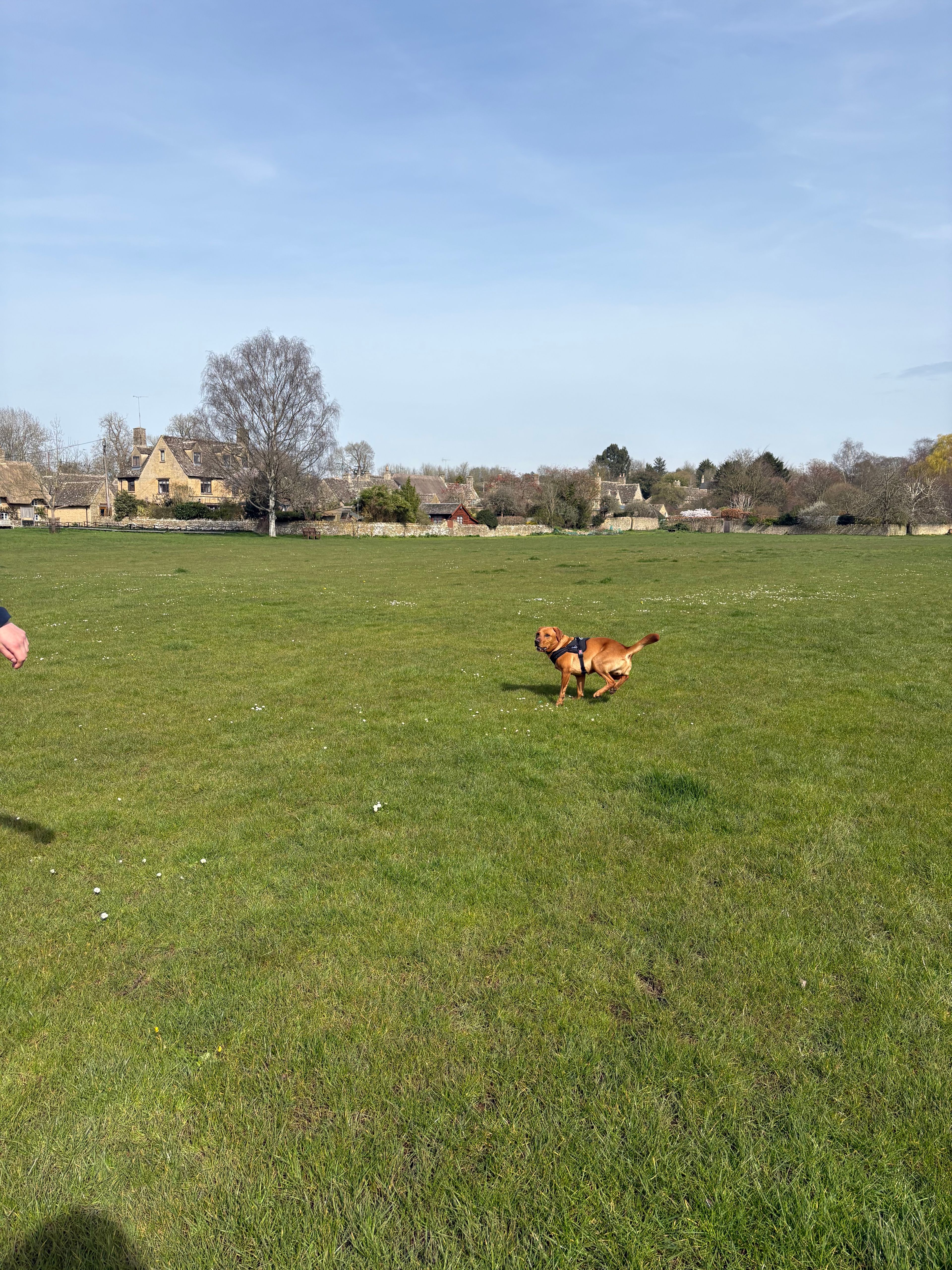 image-18