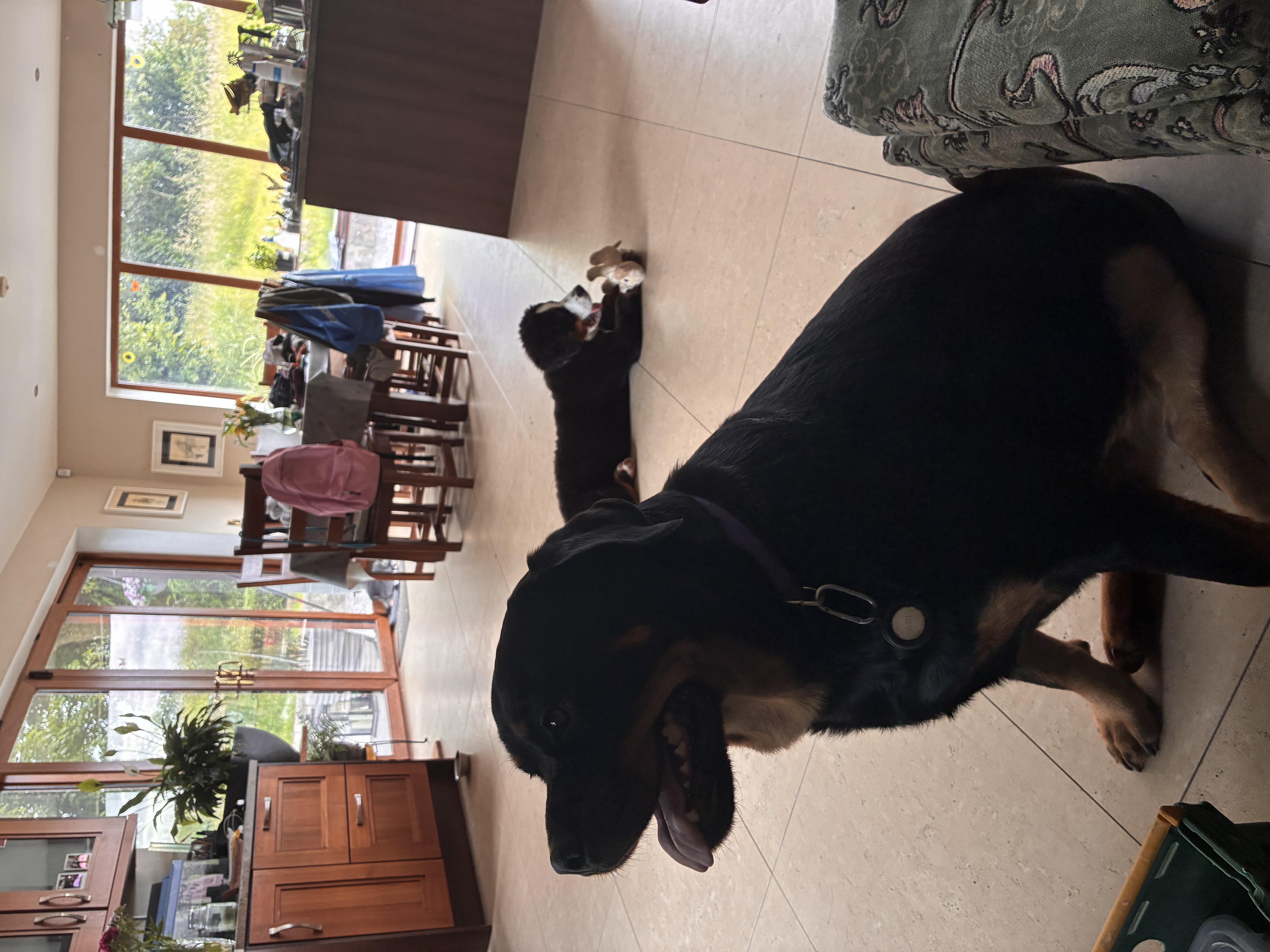 image-7