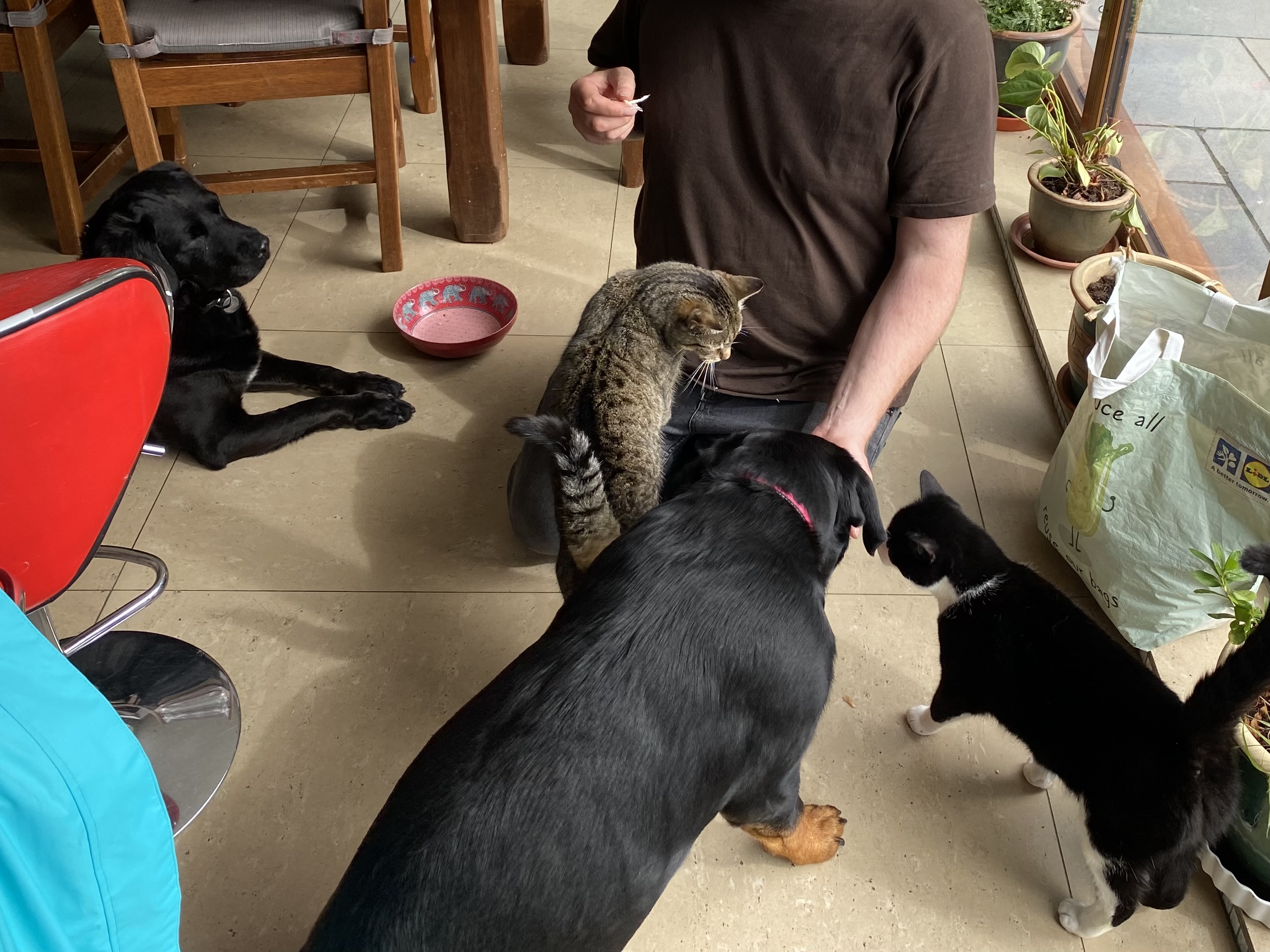 image-18