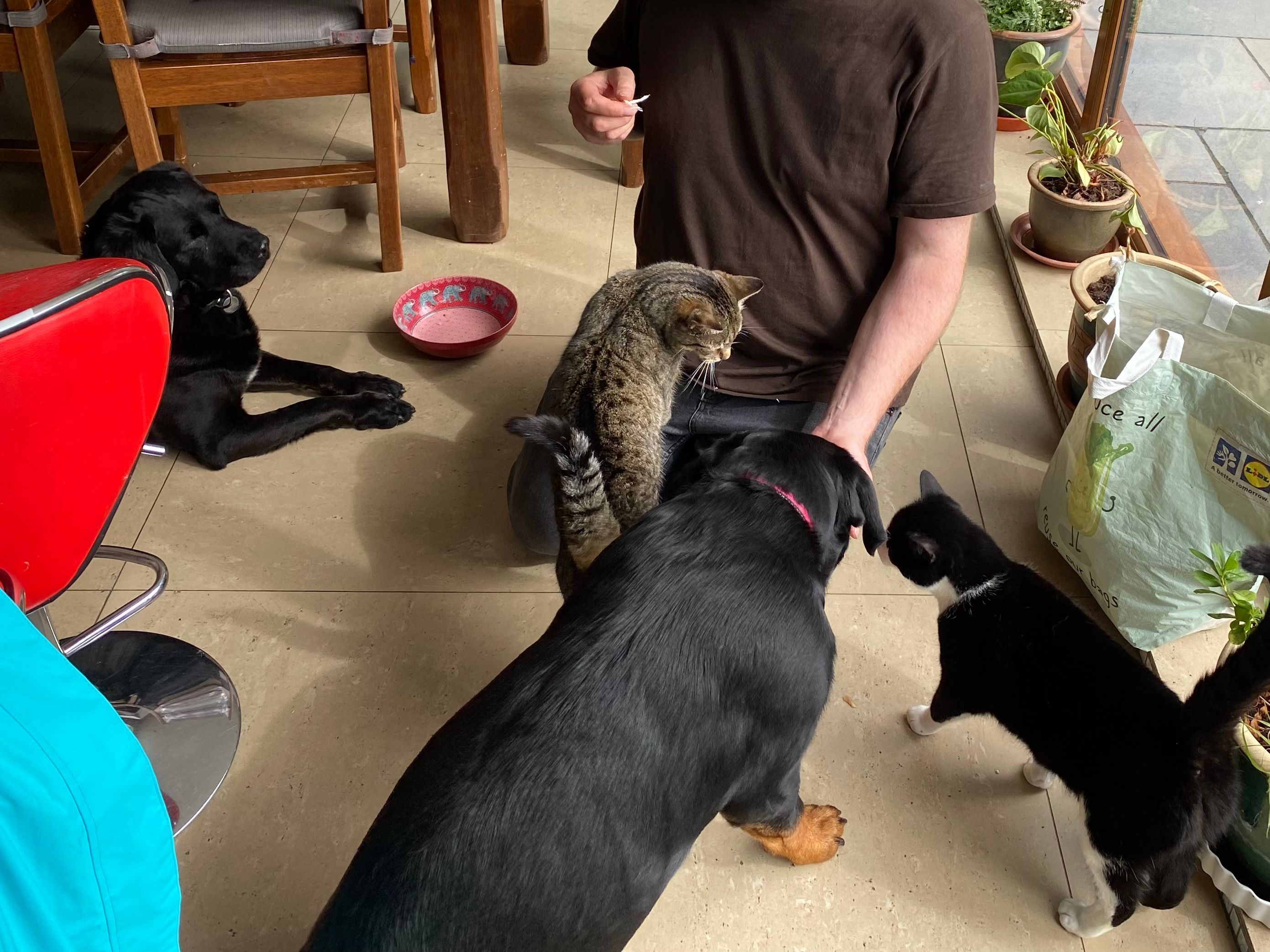 image-18