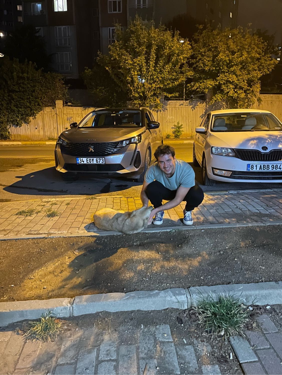 image-9
