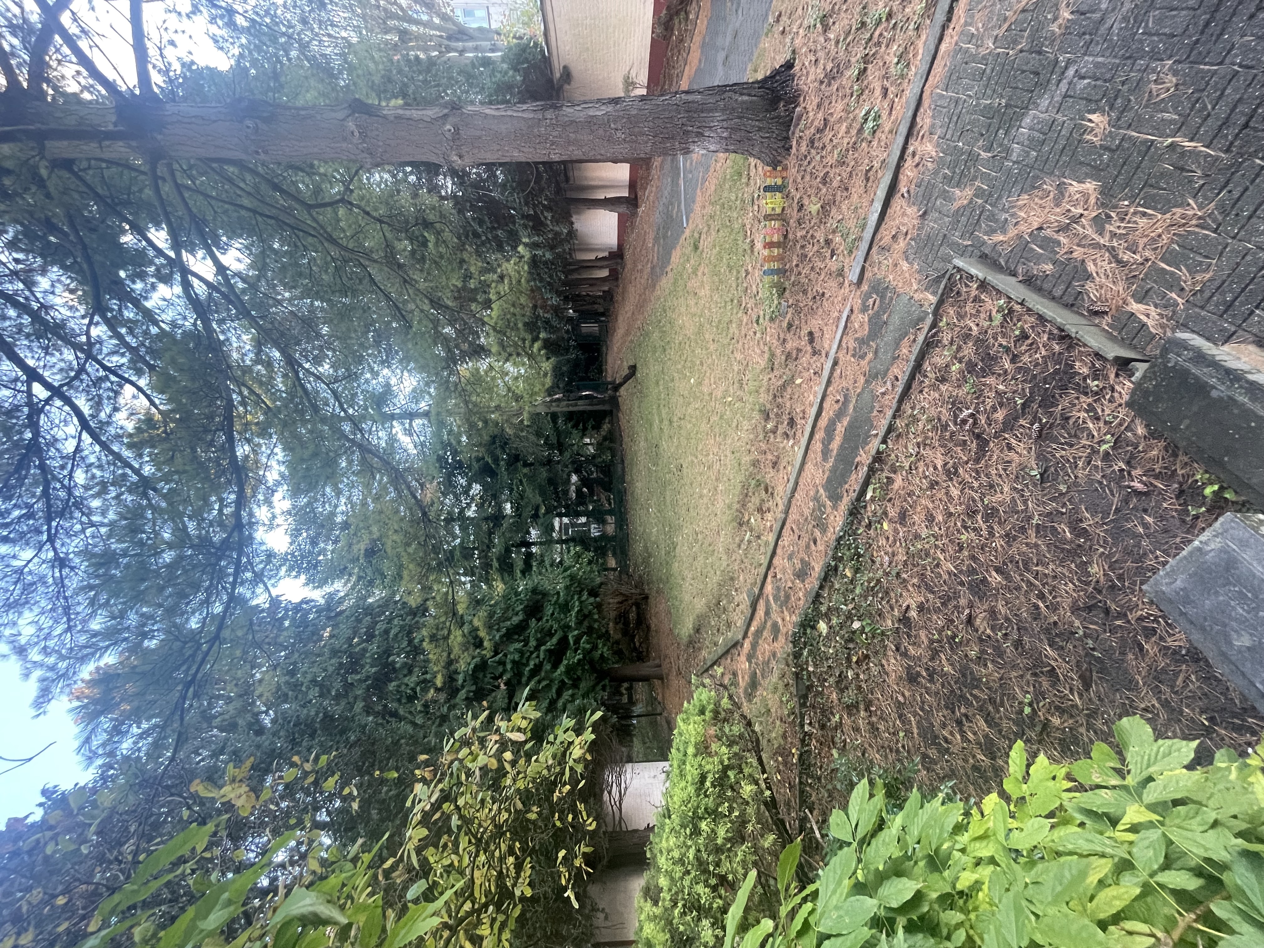 image-16