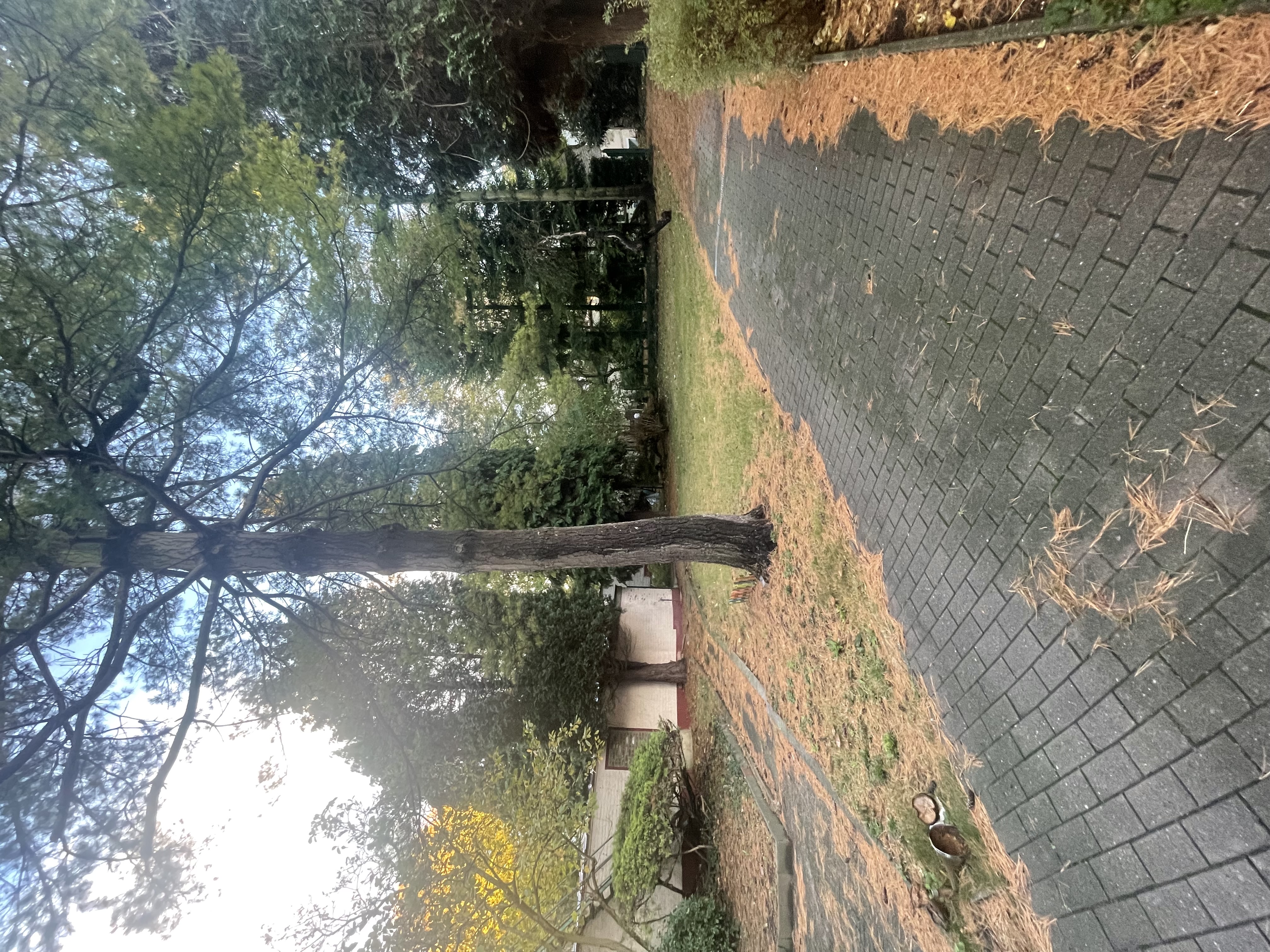 image-17