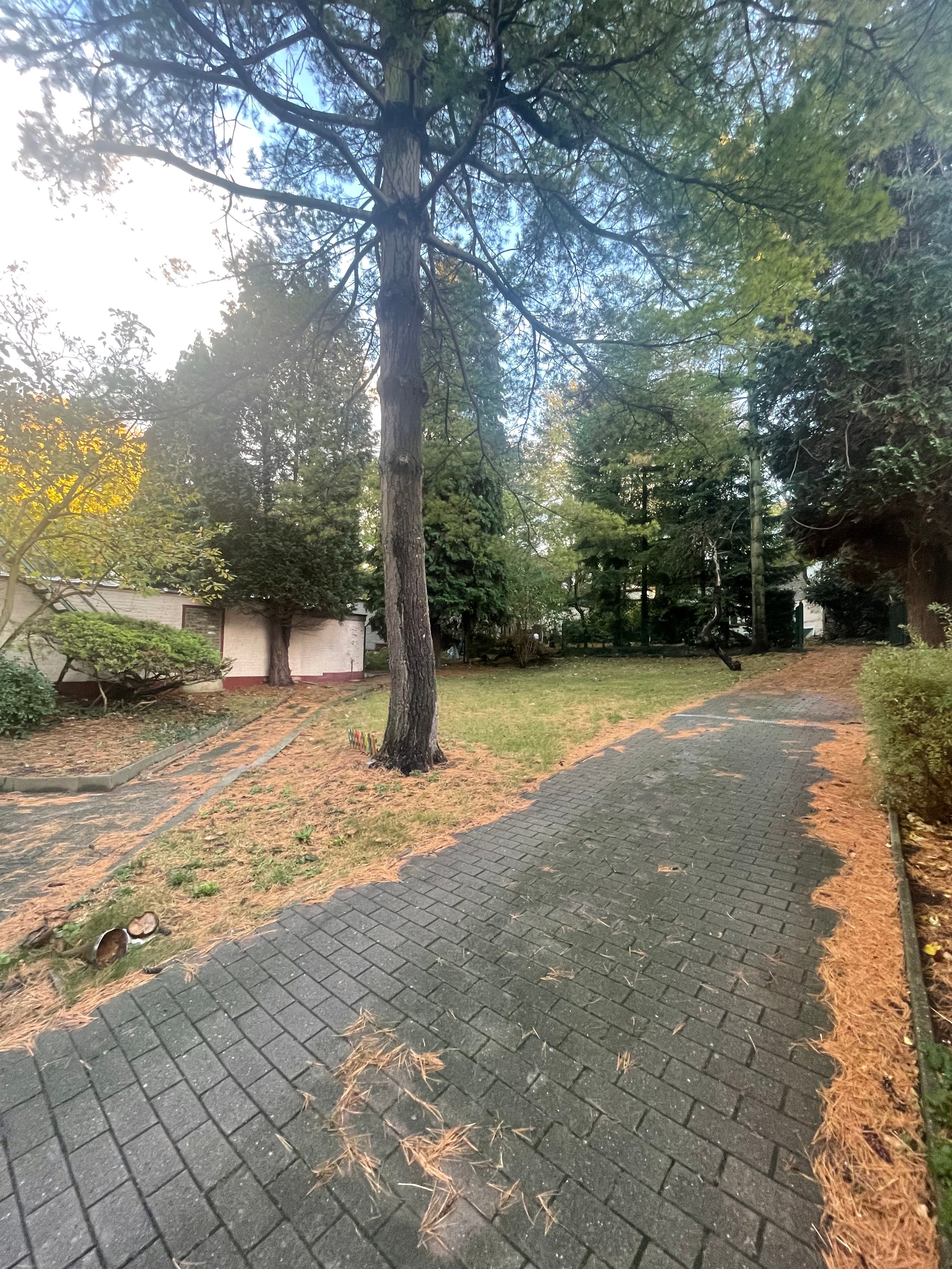 image-17