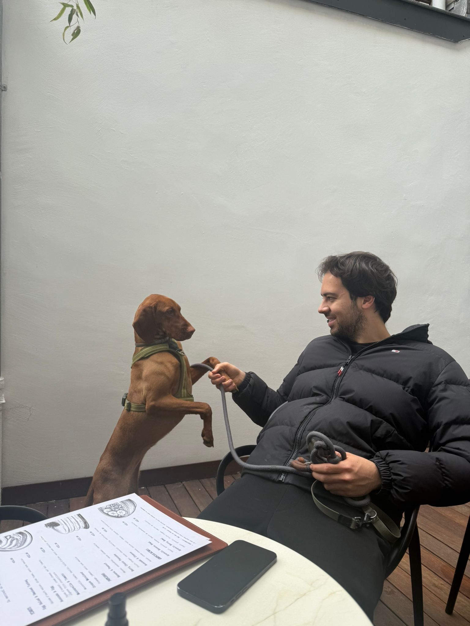 image-8