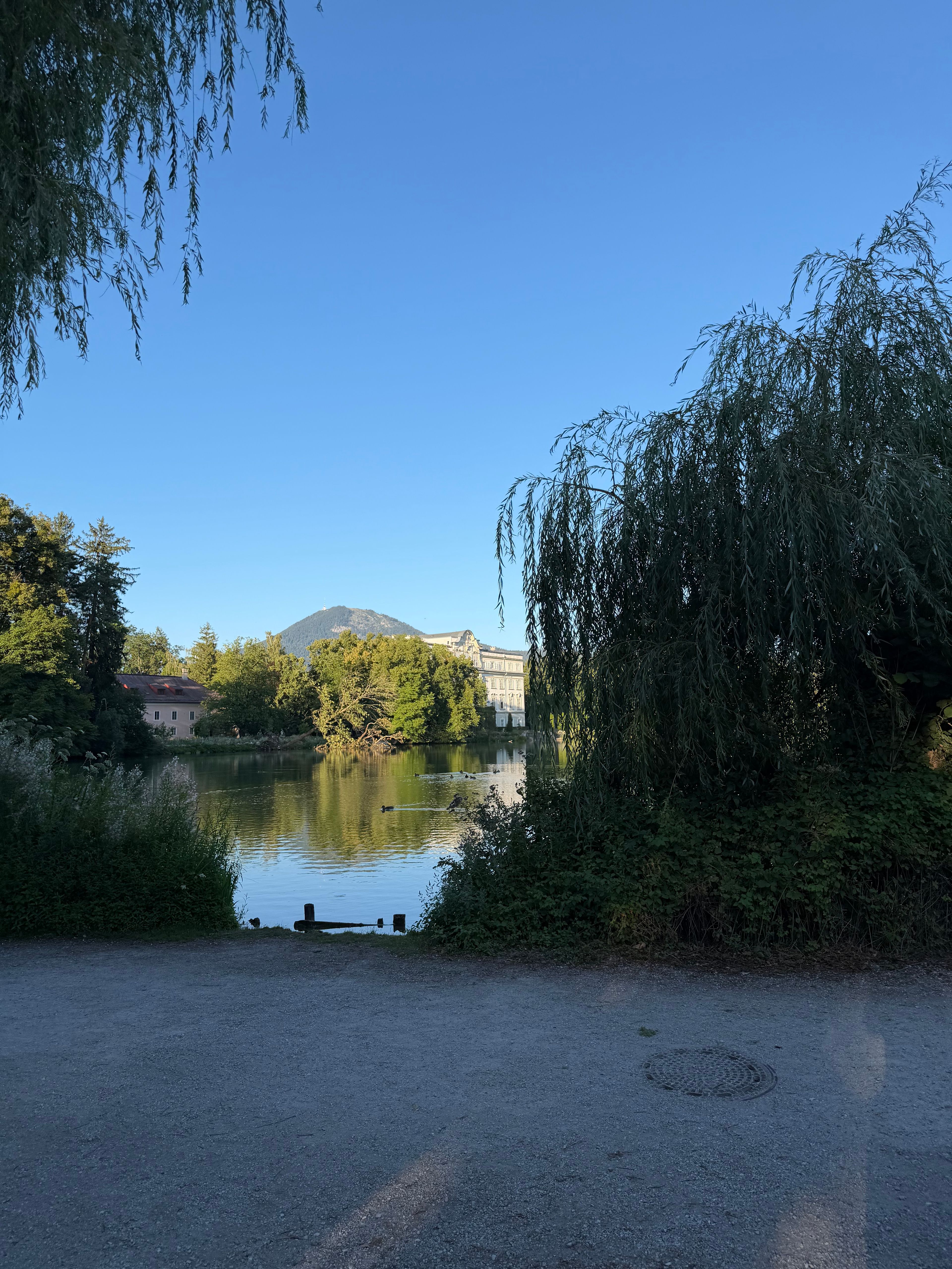 image-17