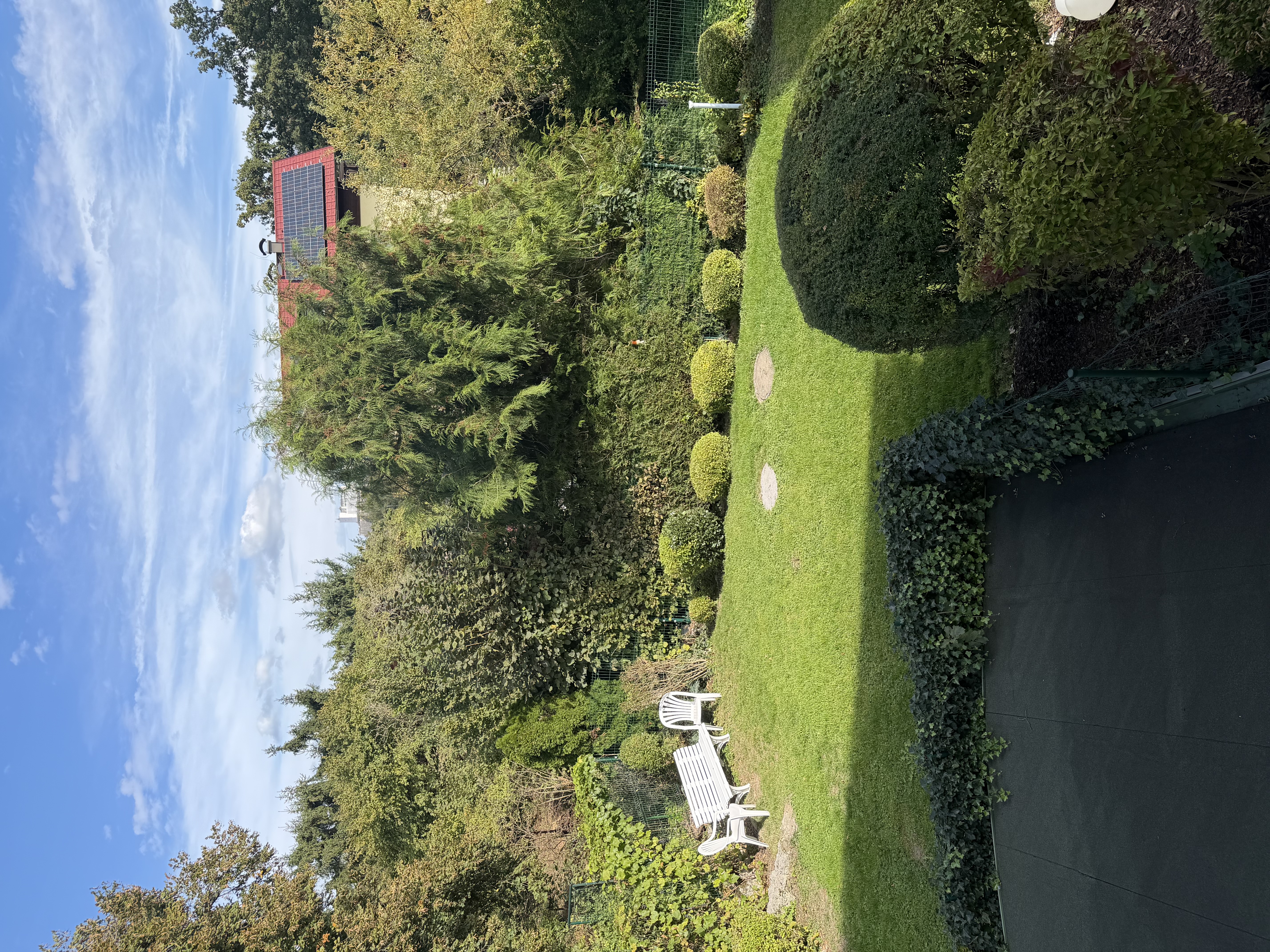 image-15