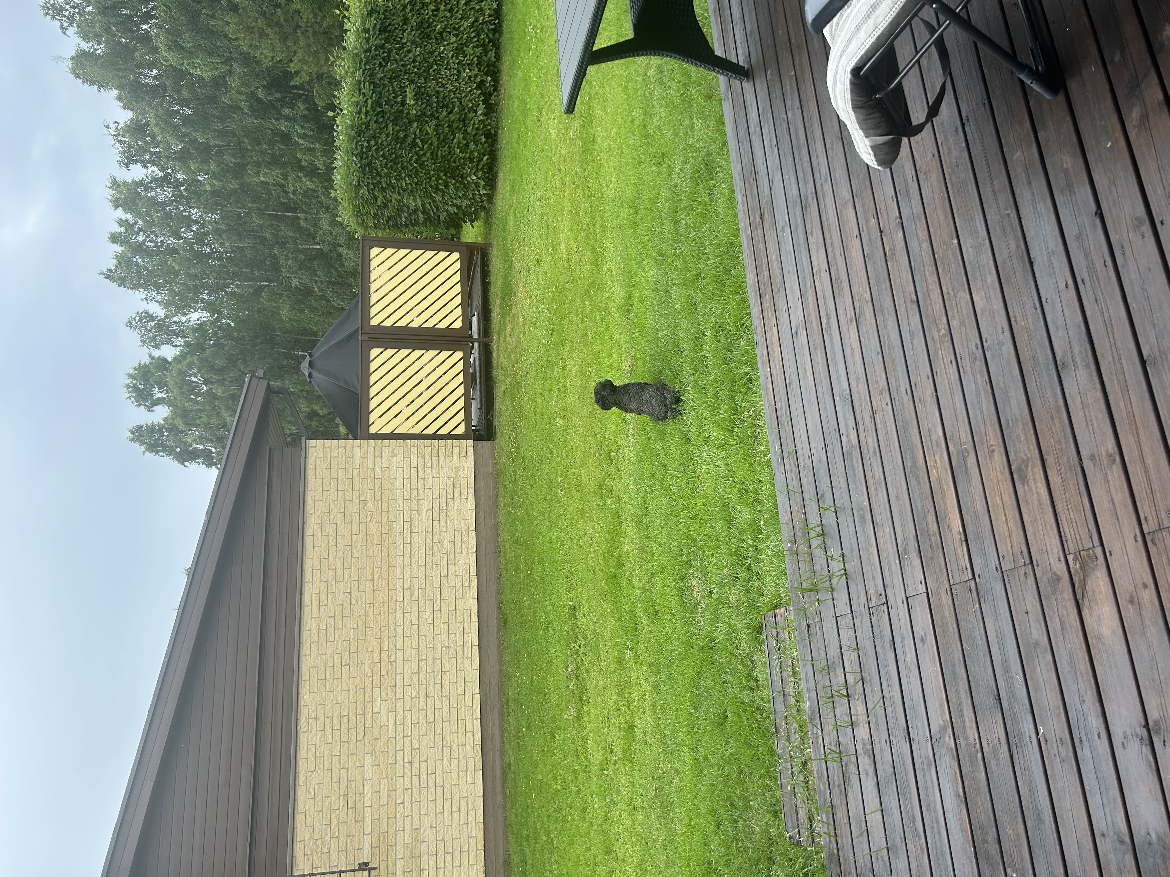 image-18
