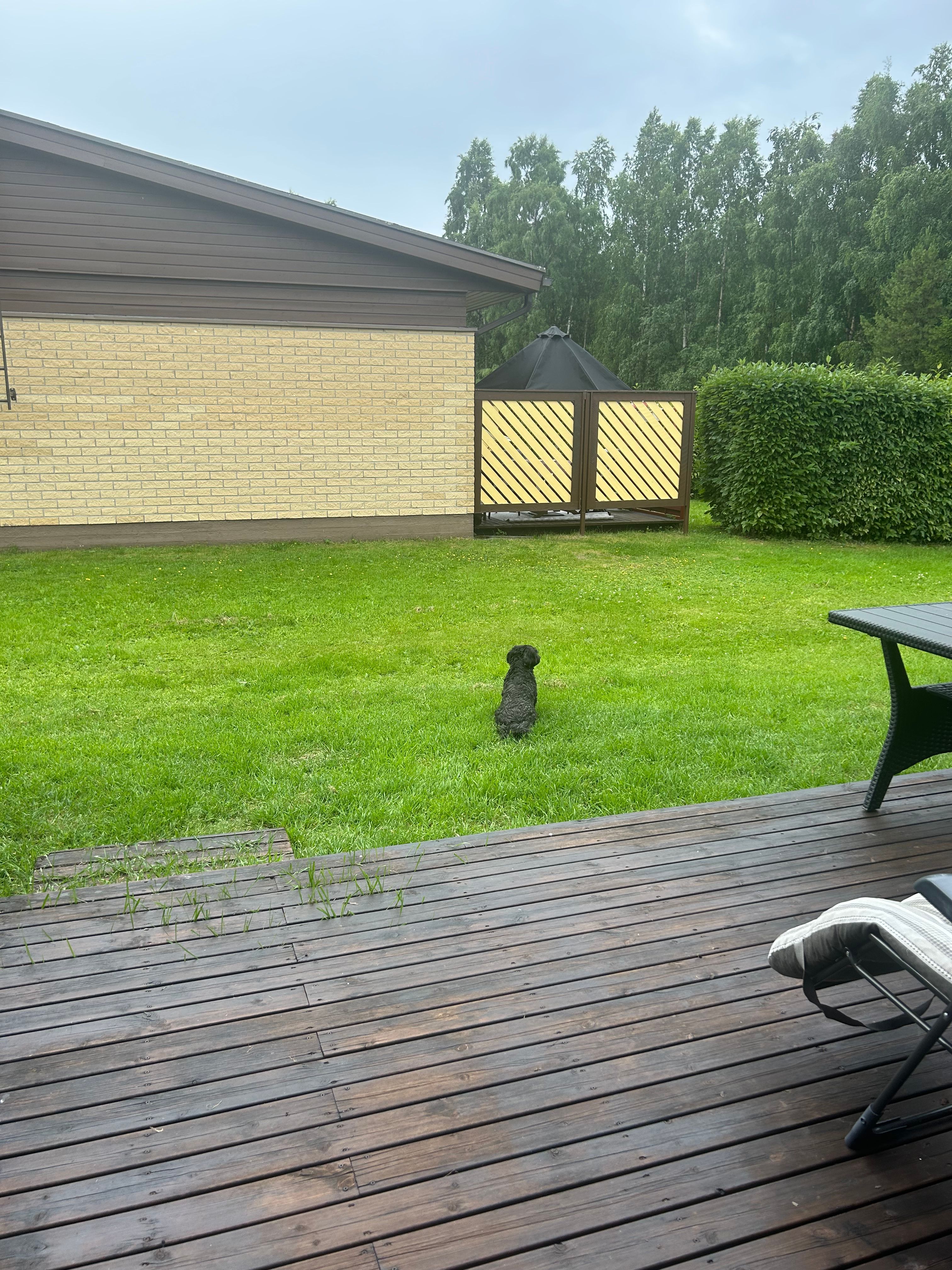image-18