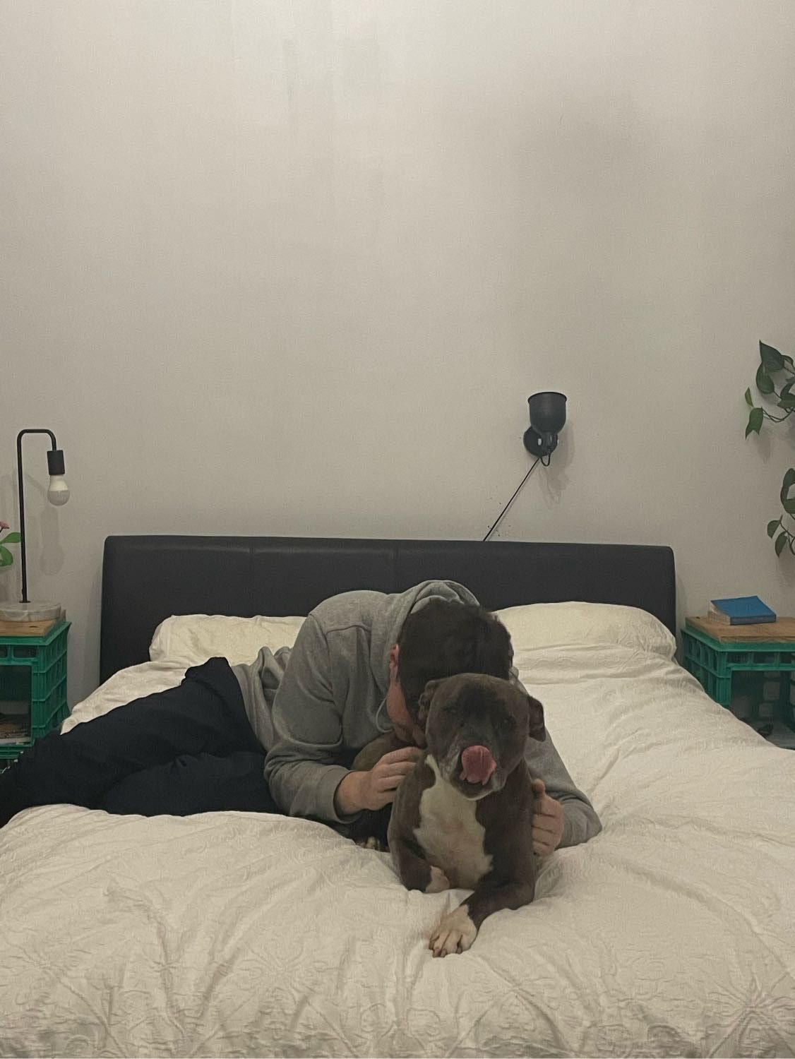 image-16