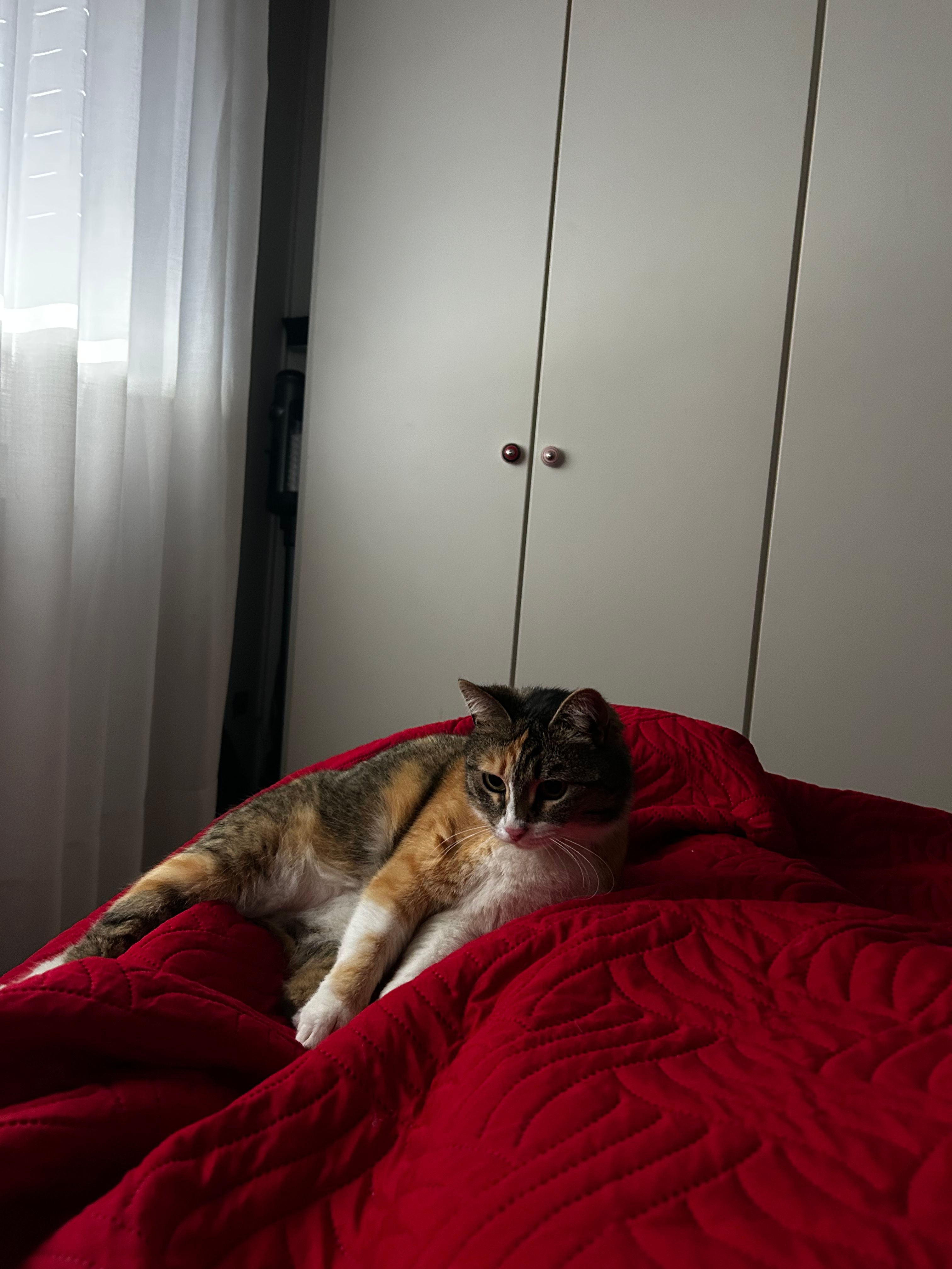 image-6