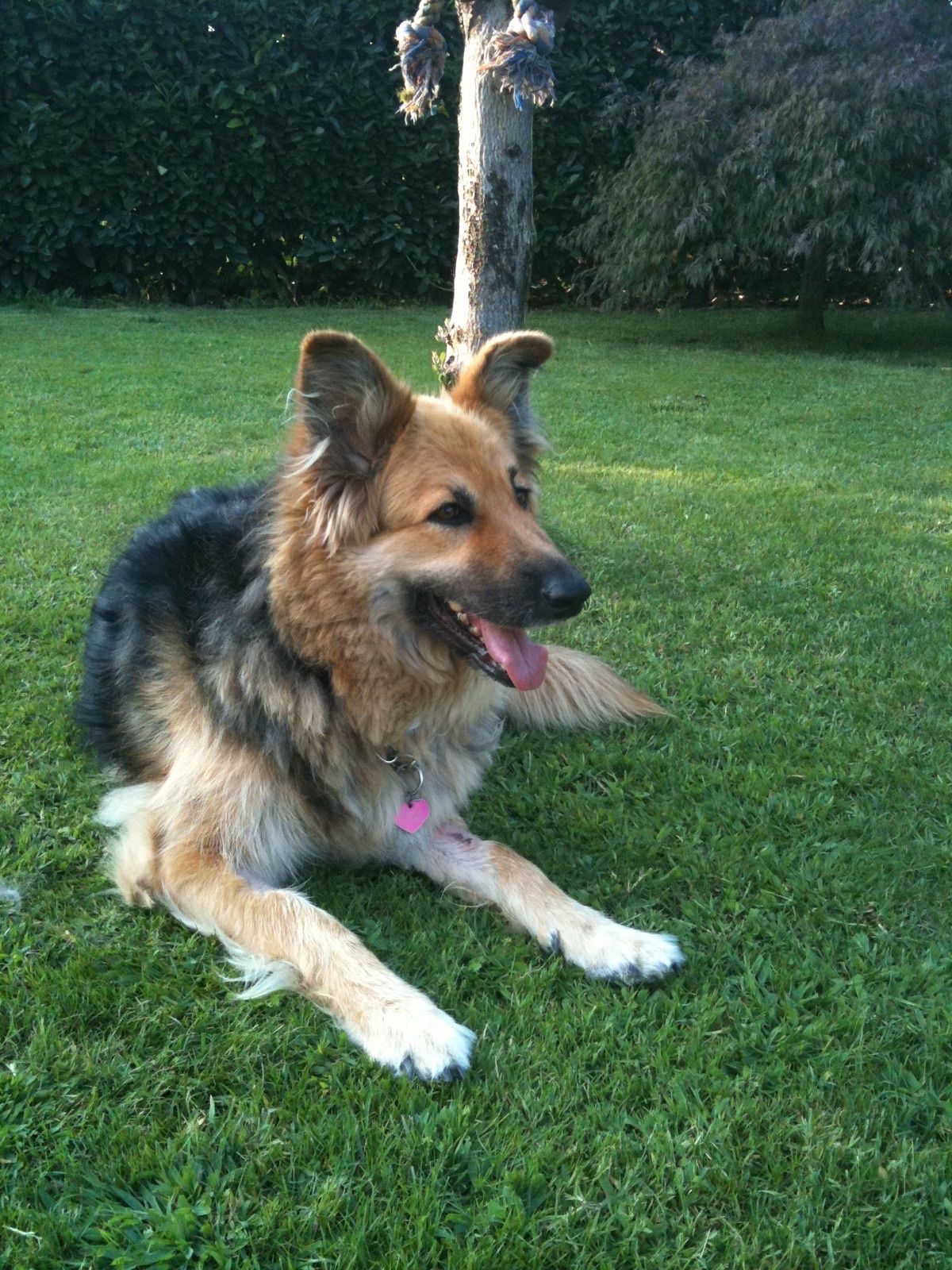 image-4