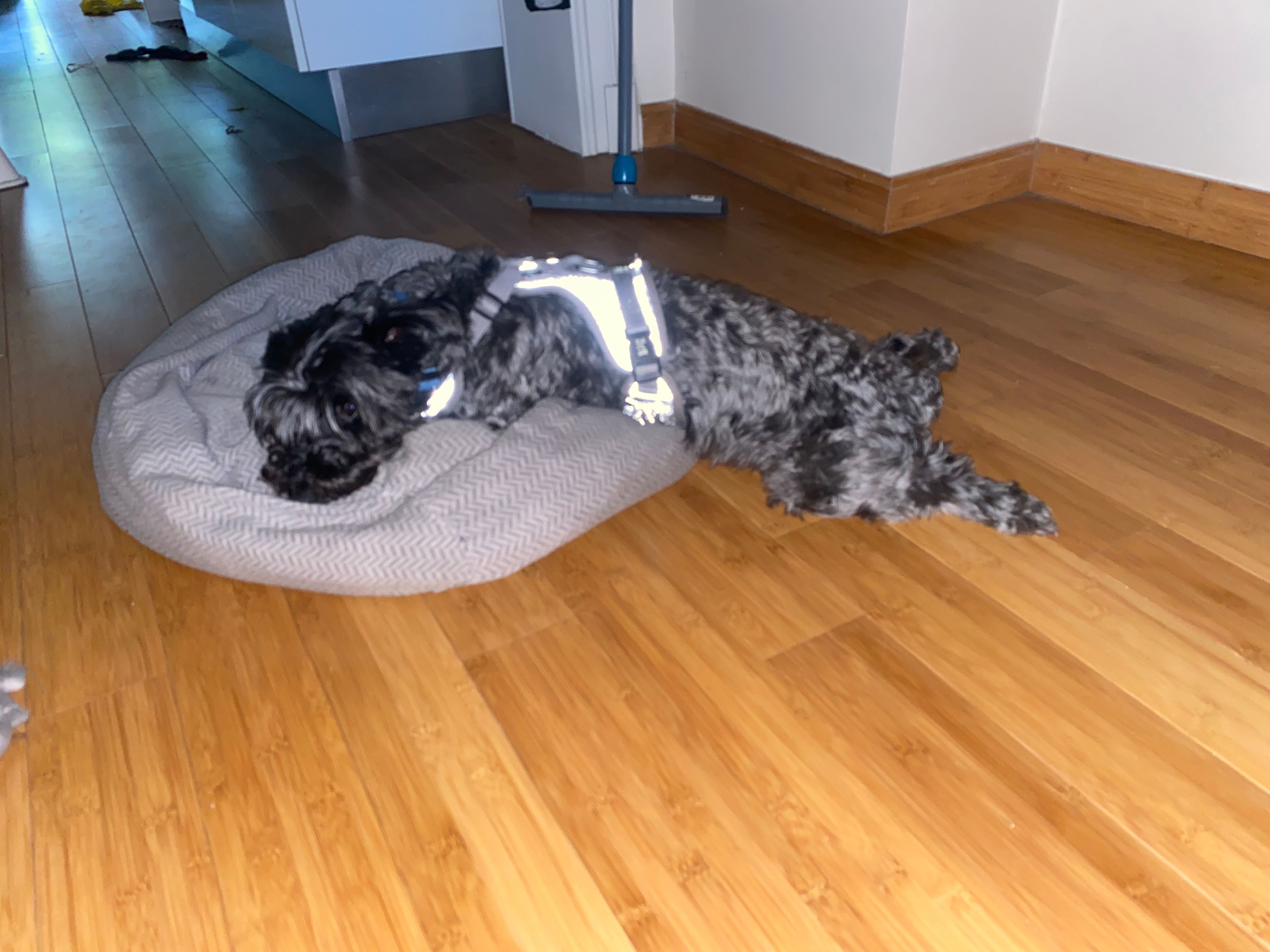 image-11