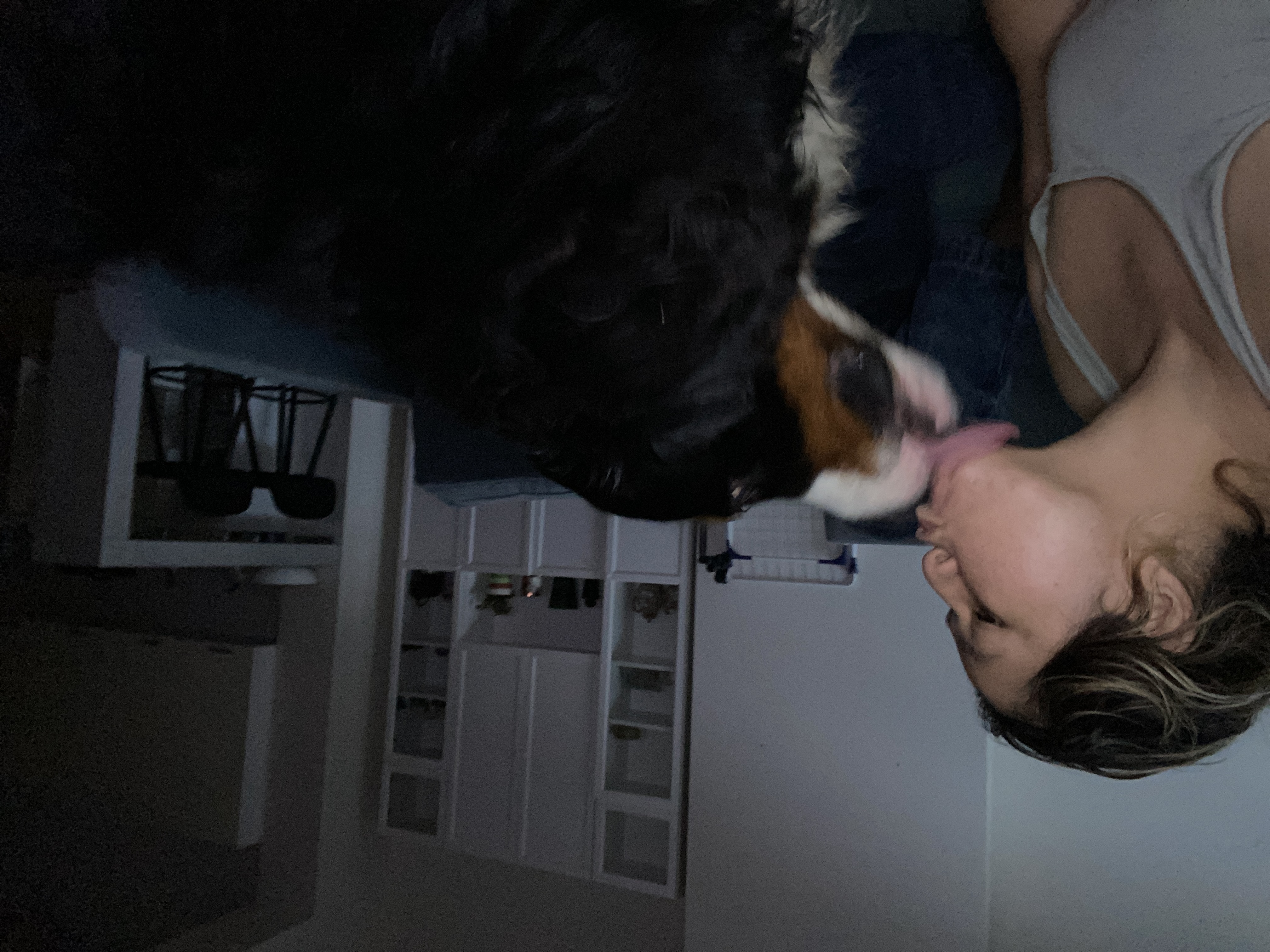 image-8