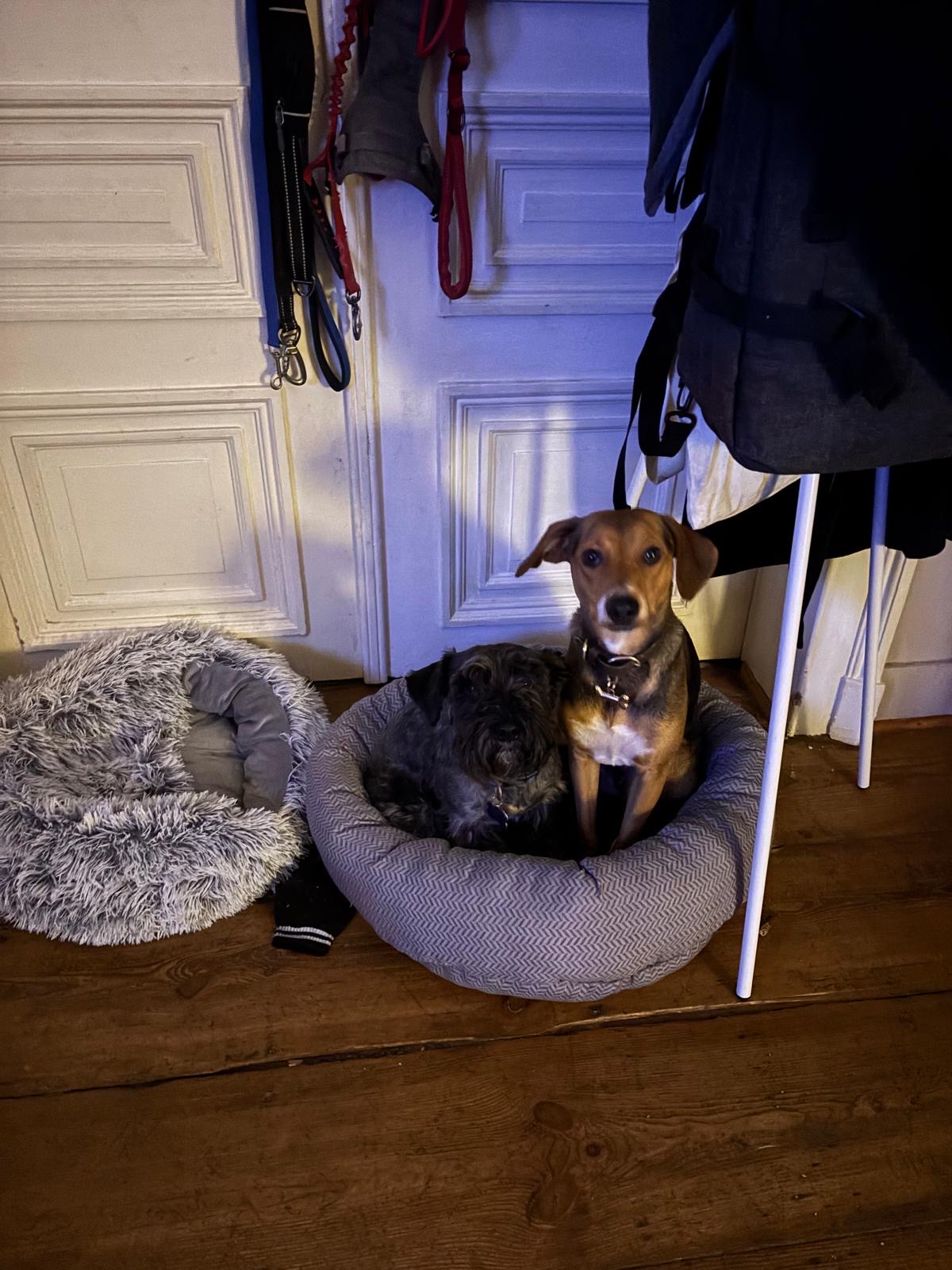 image-9