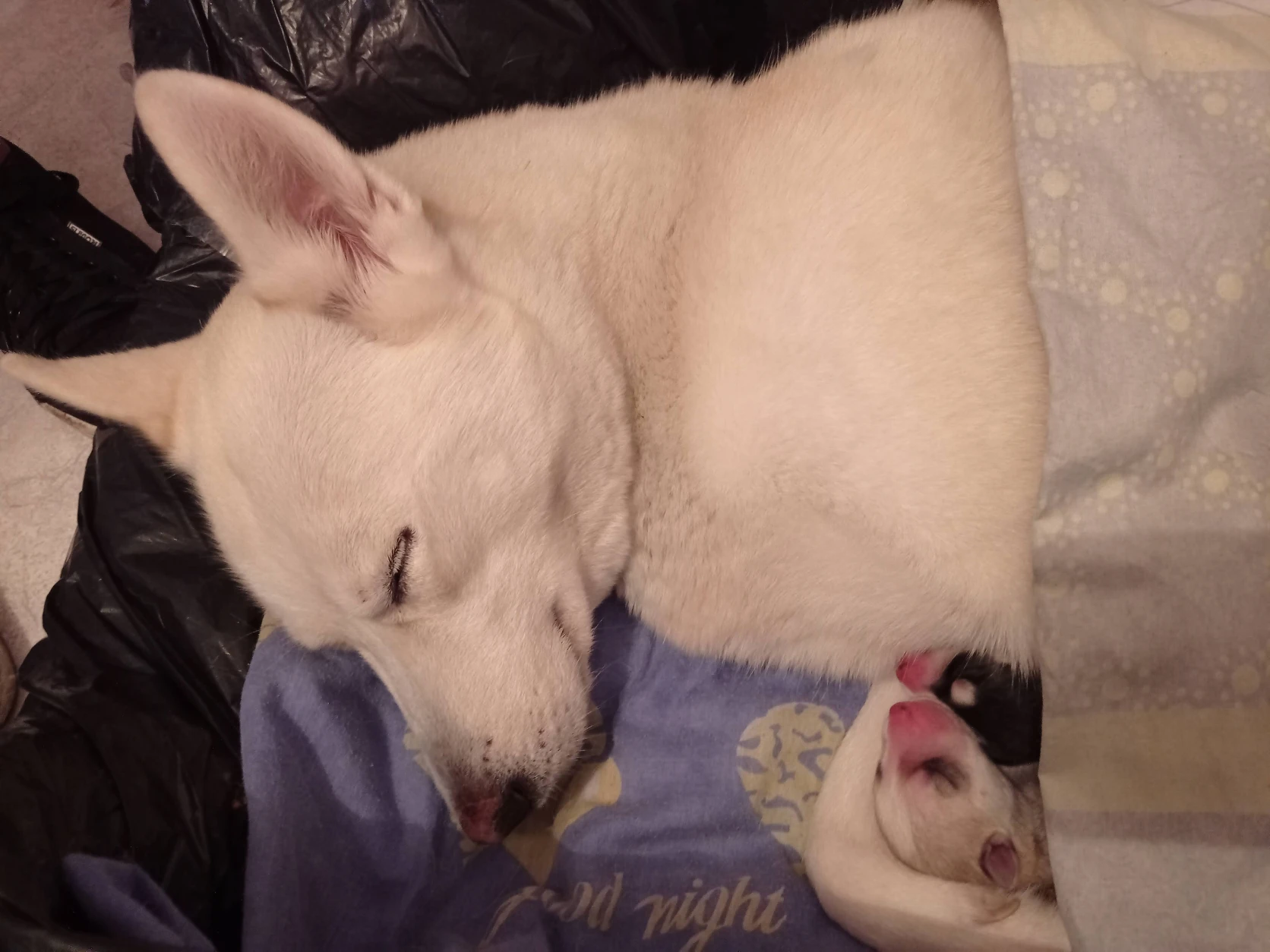 image-5