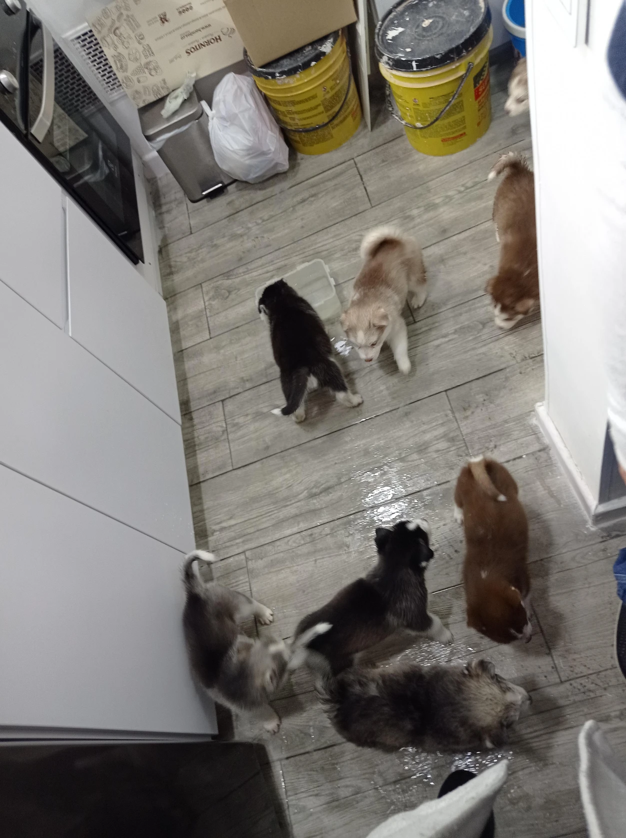 image-10