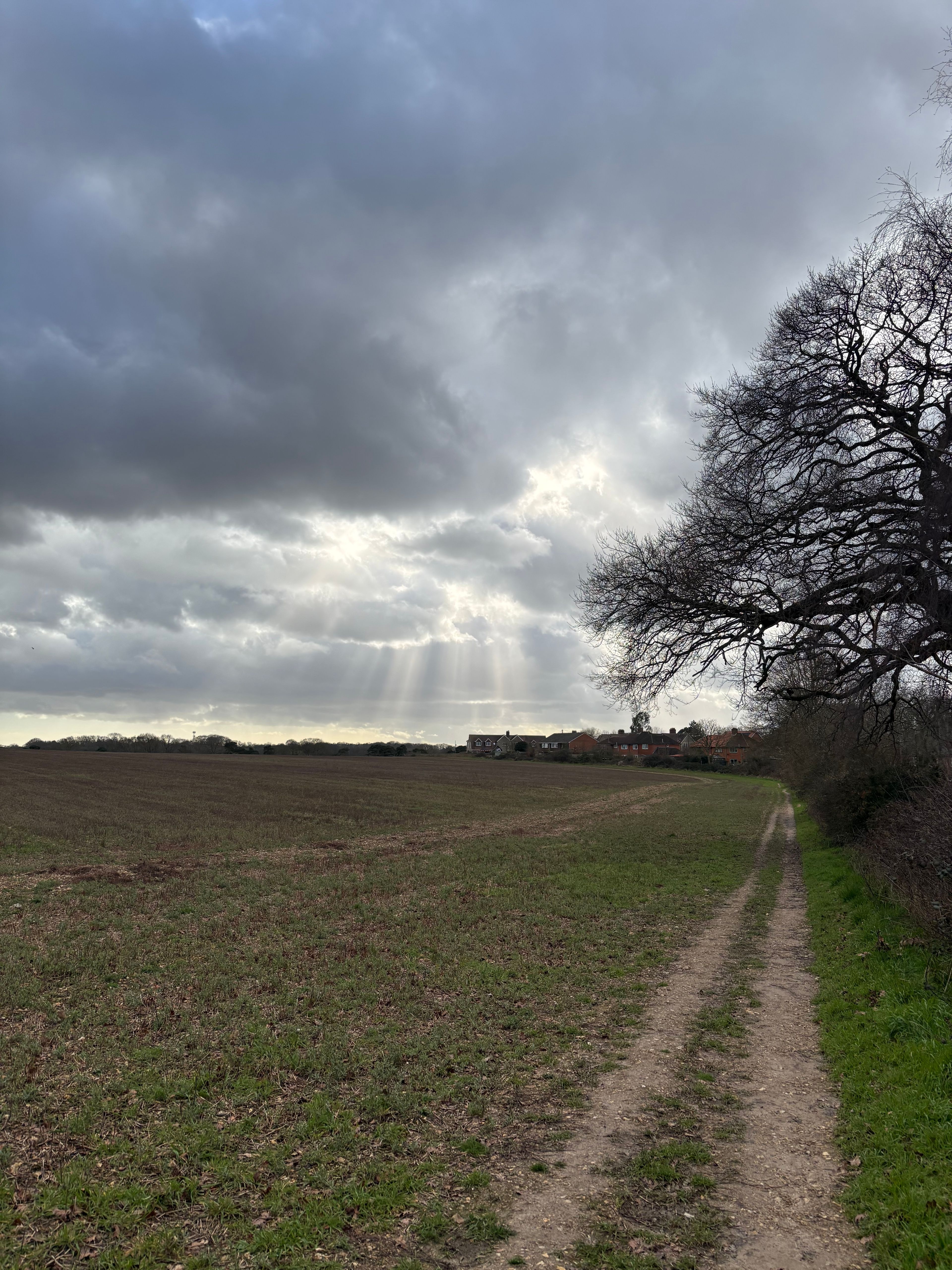 image-35