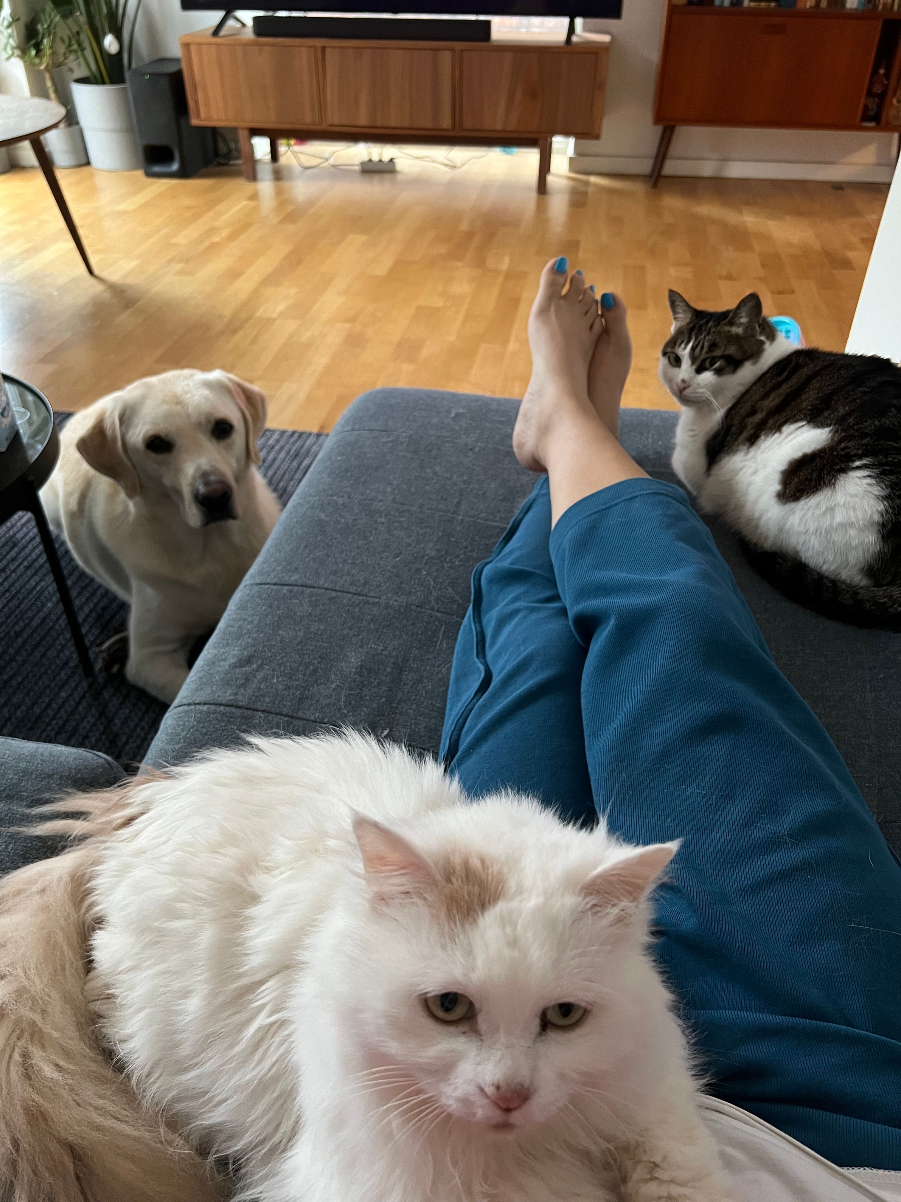 image-16