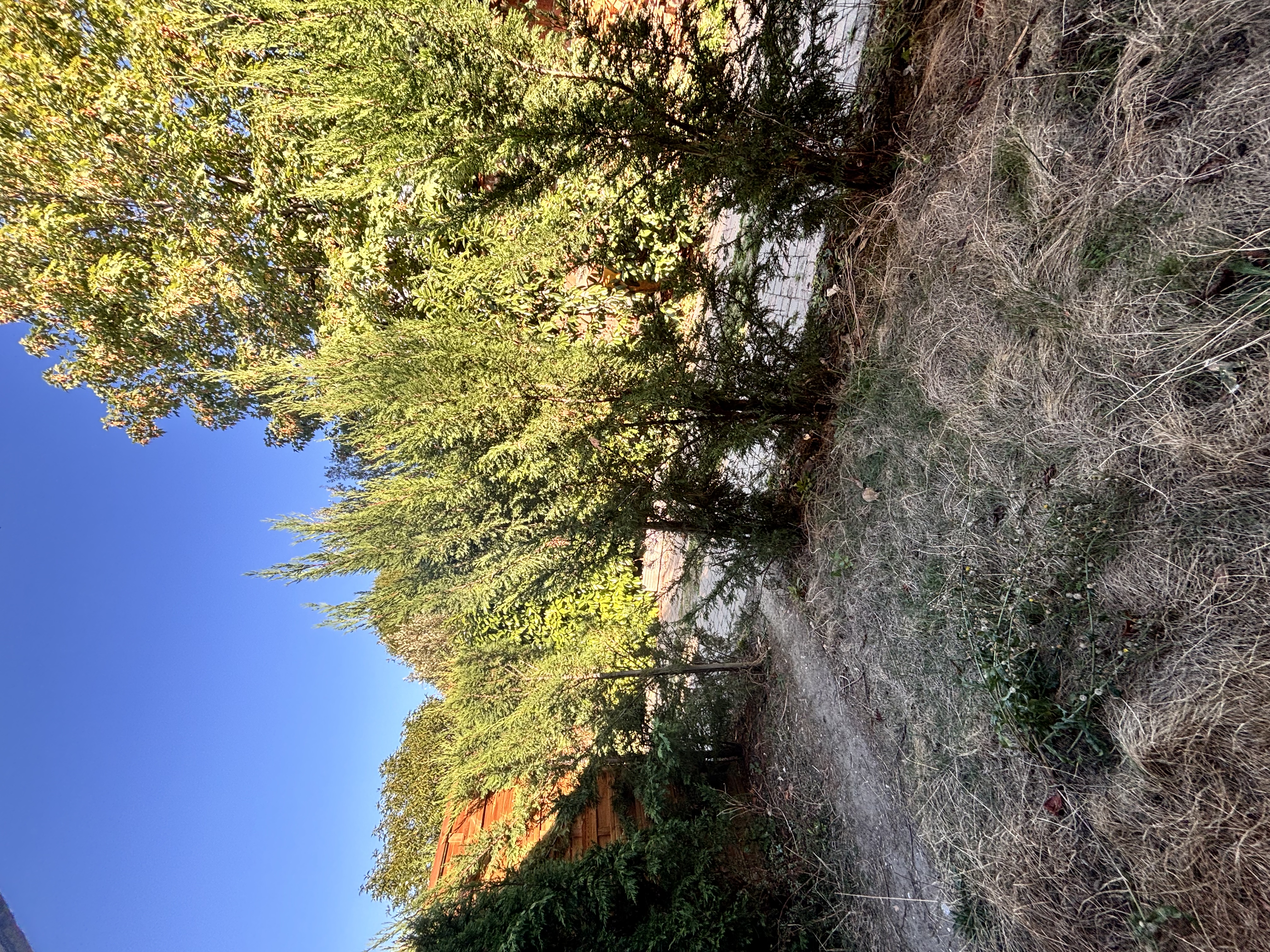 image-14