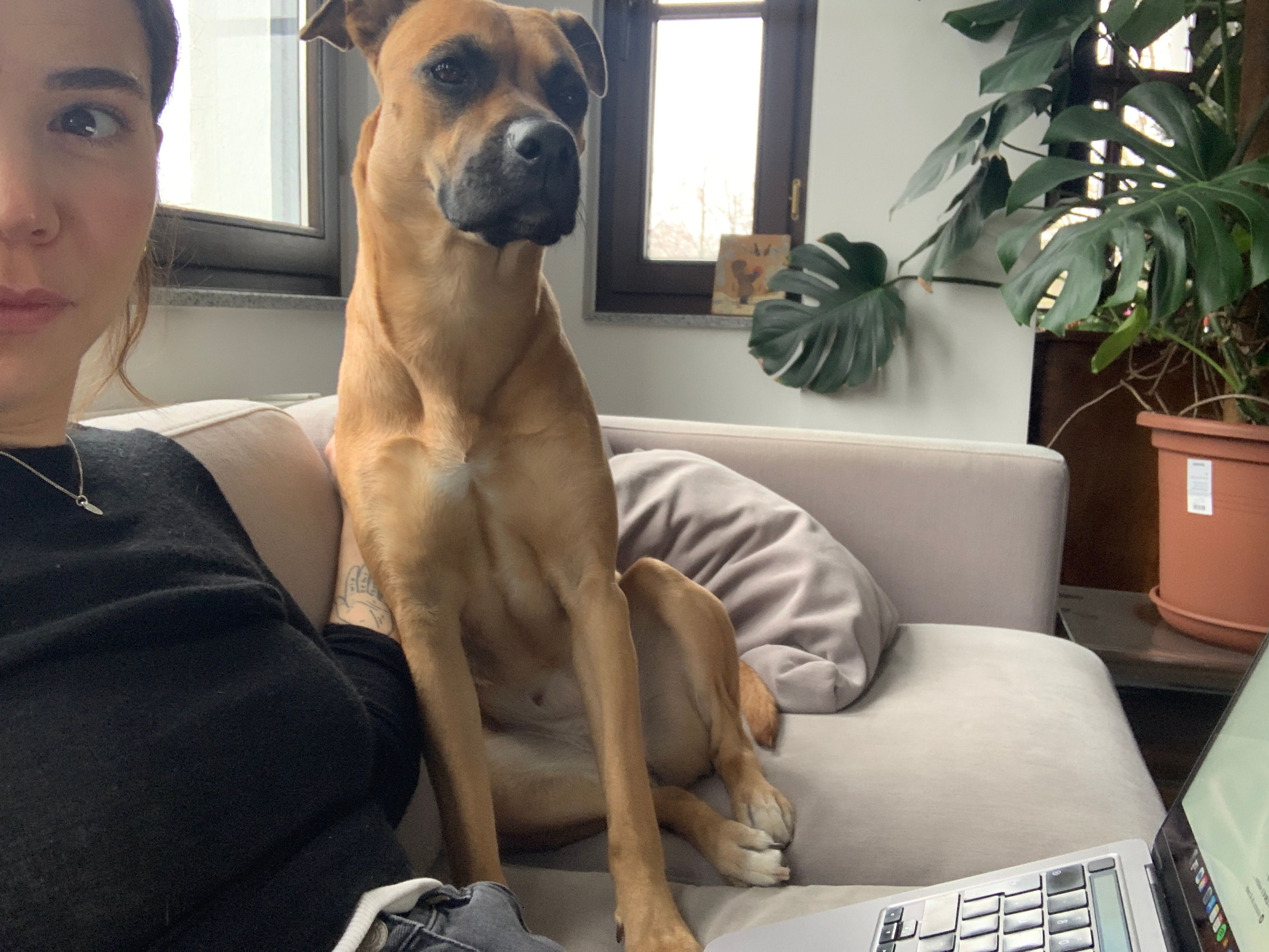 image-7