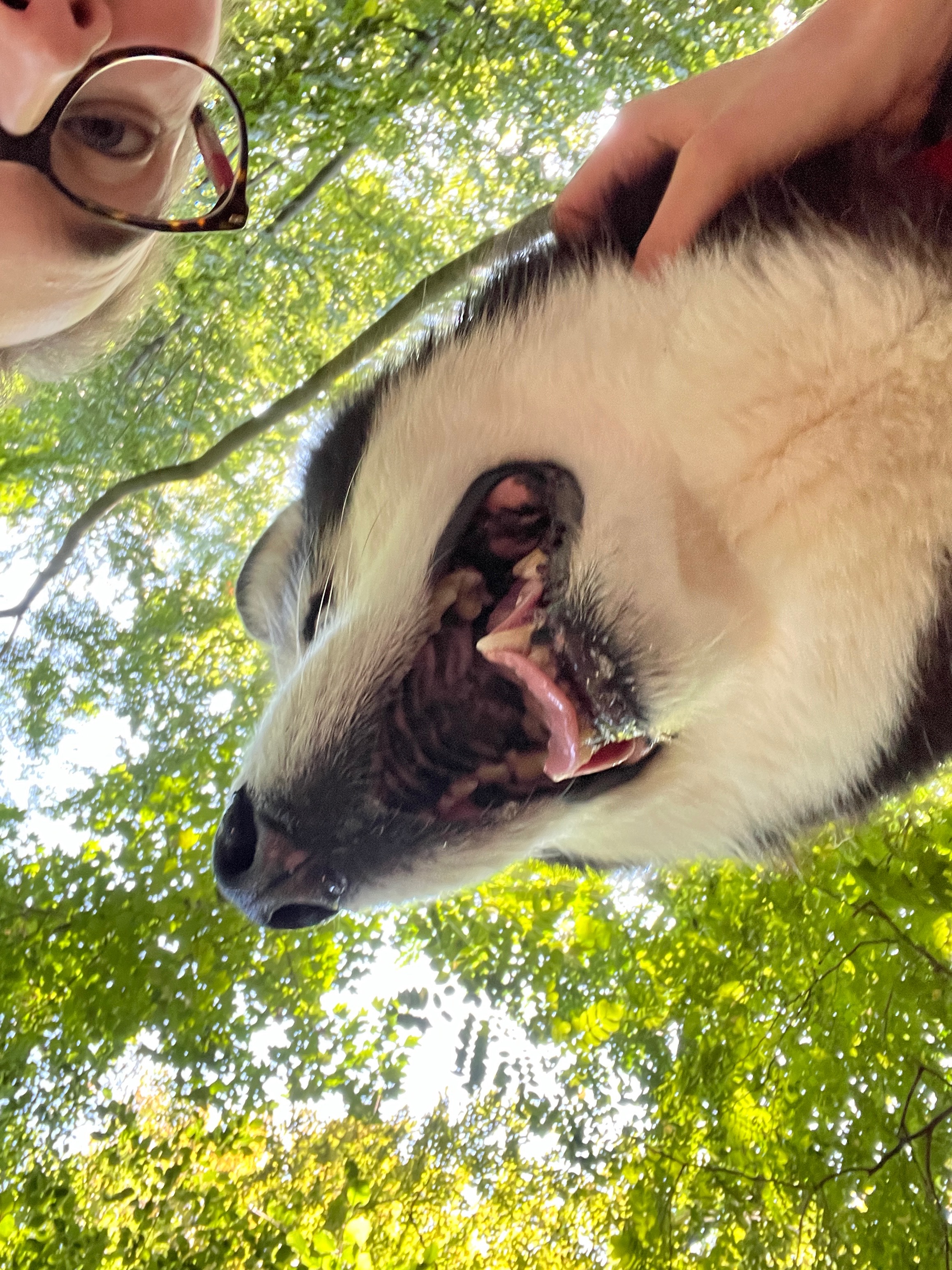 image-7