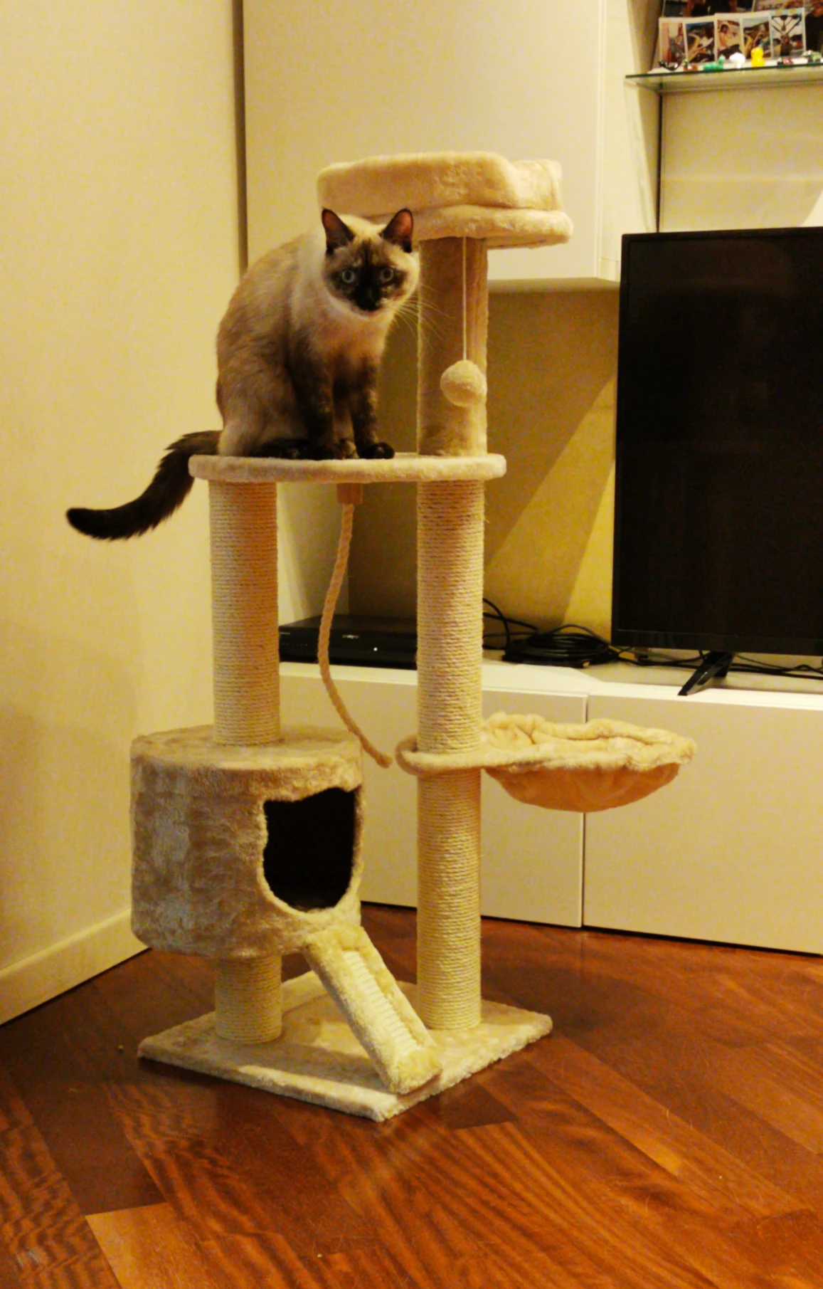 image-20
