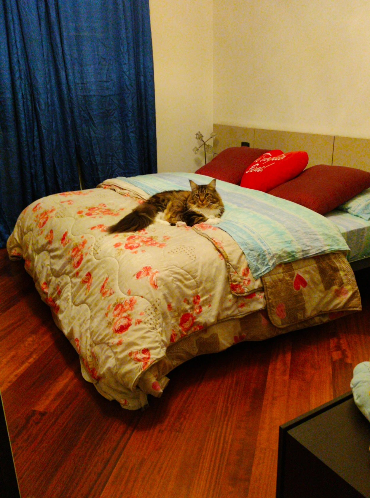 image-19