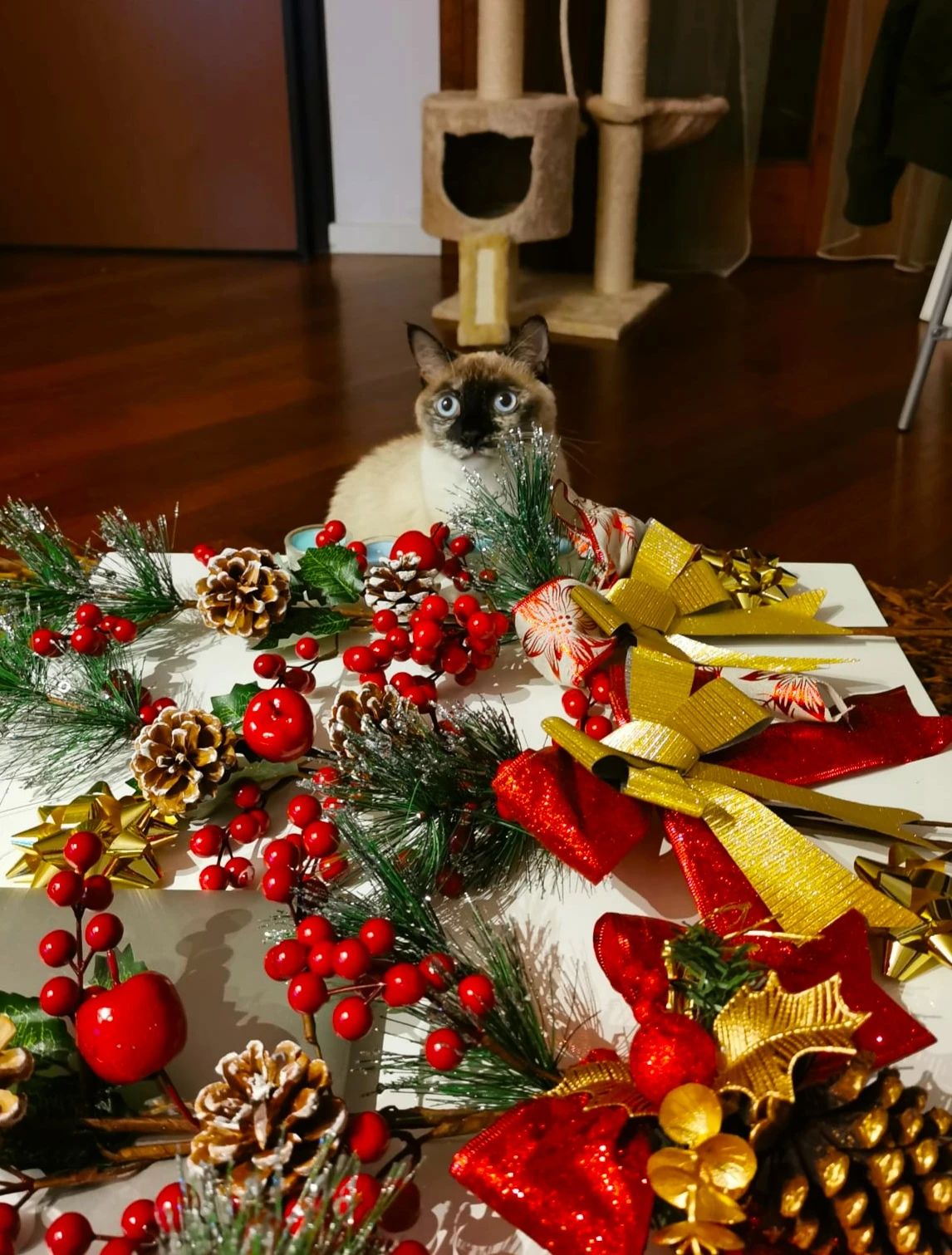 image-18