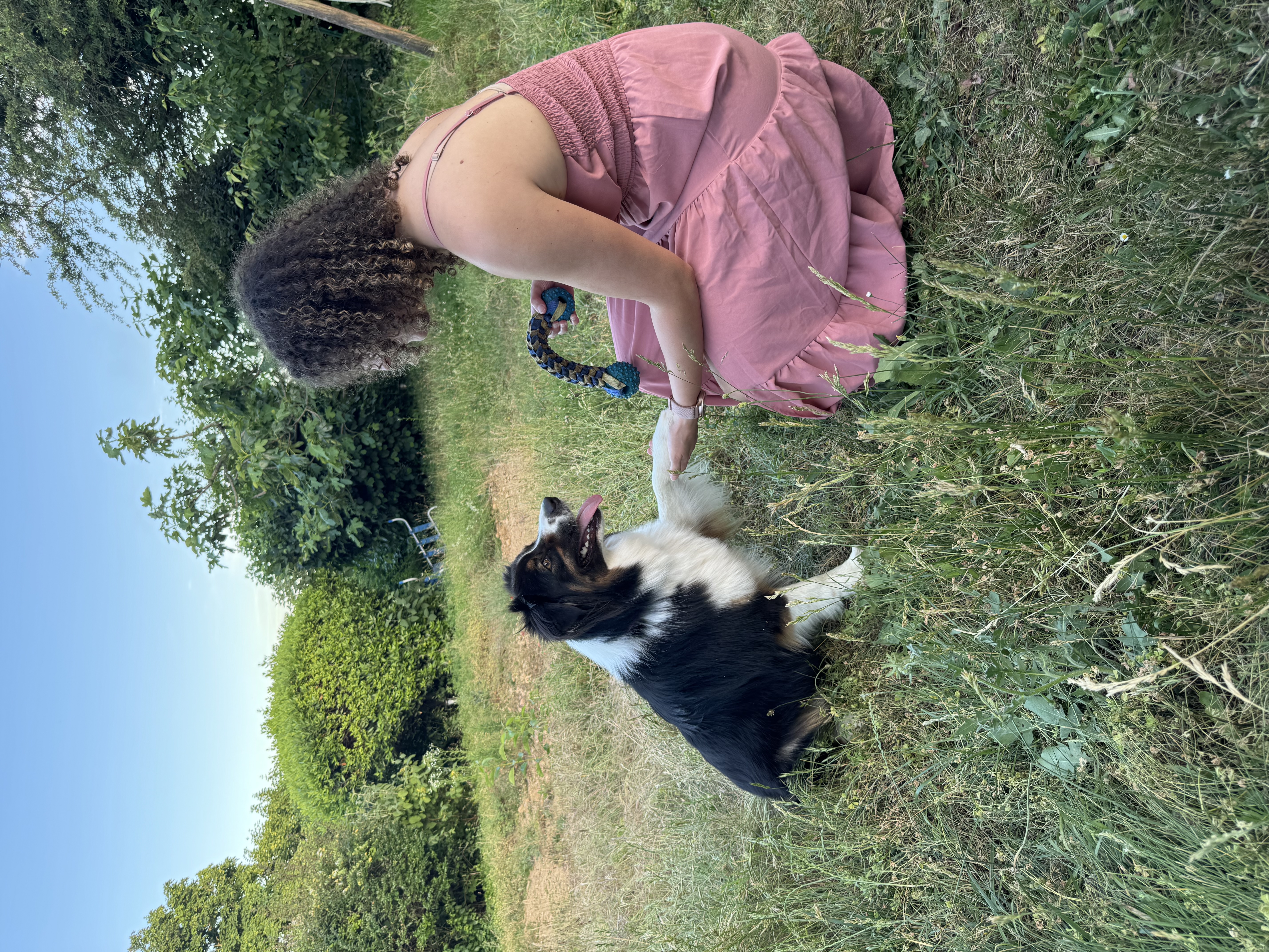 image-14