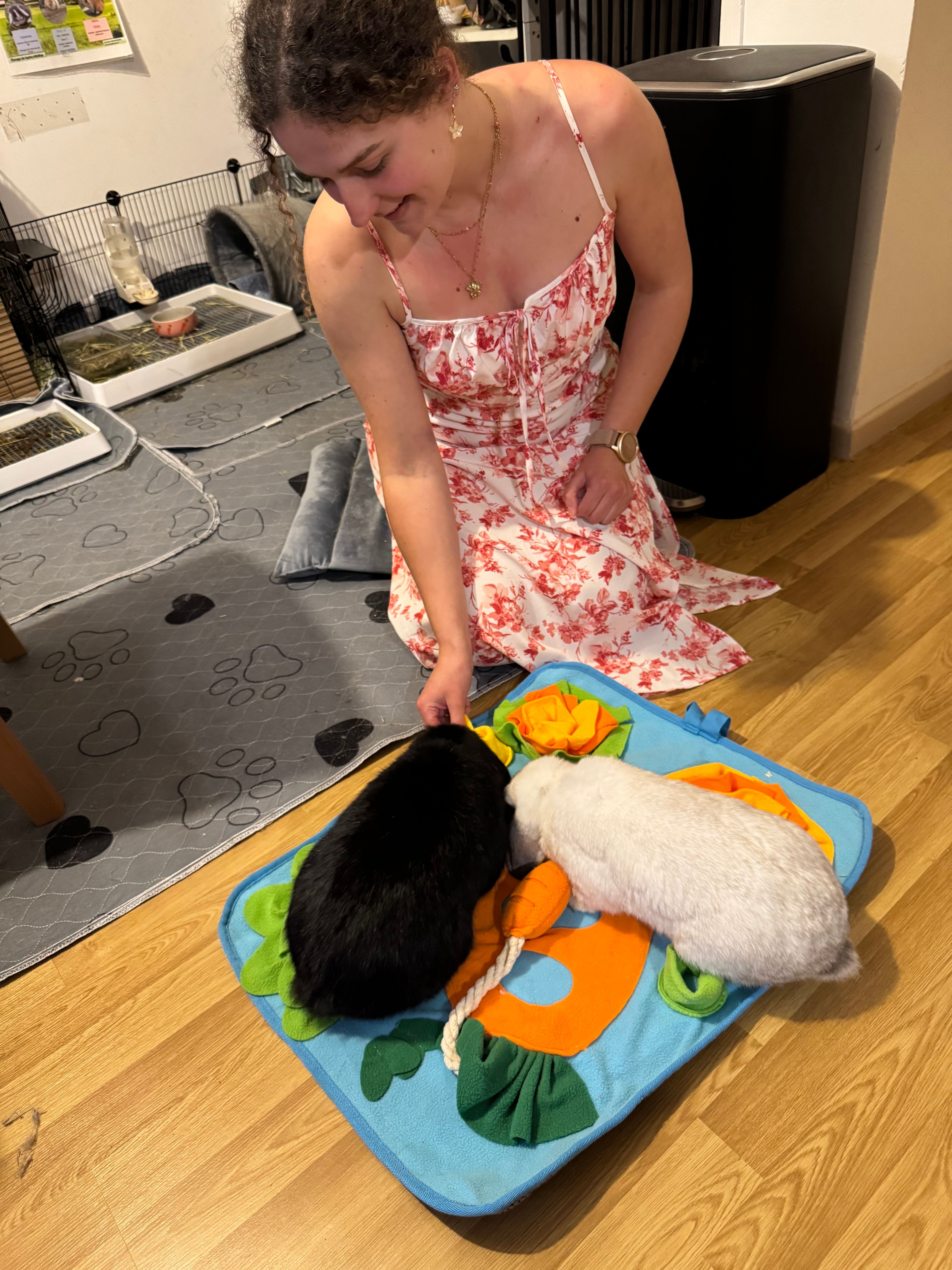 image-11