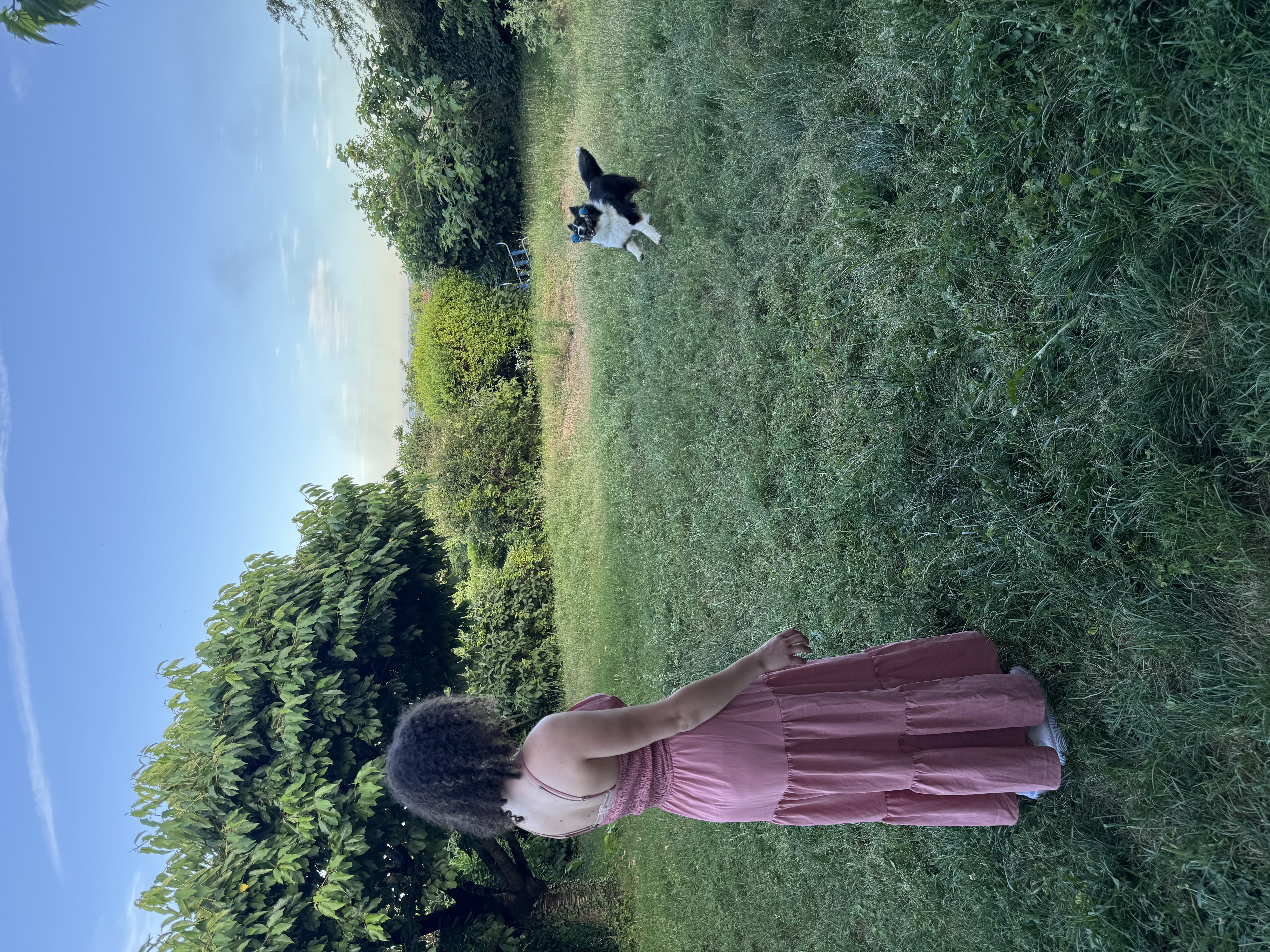 image-17