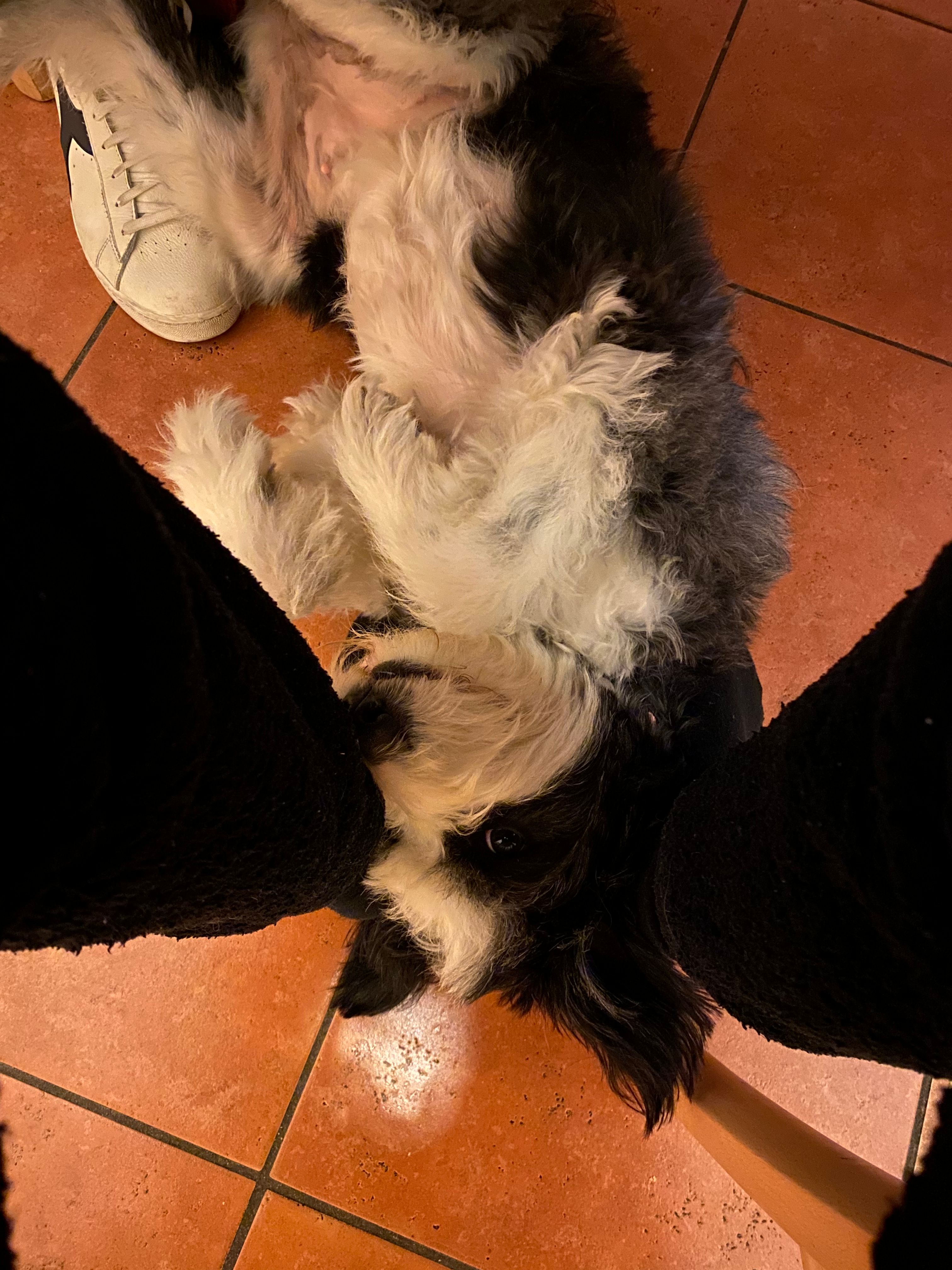 image-8