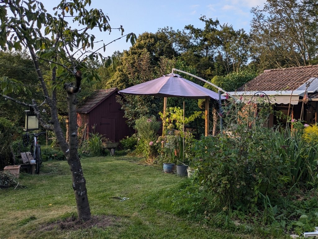 image-0
