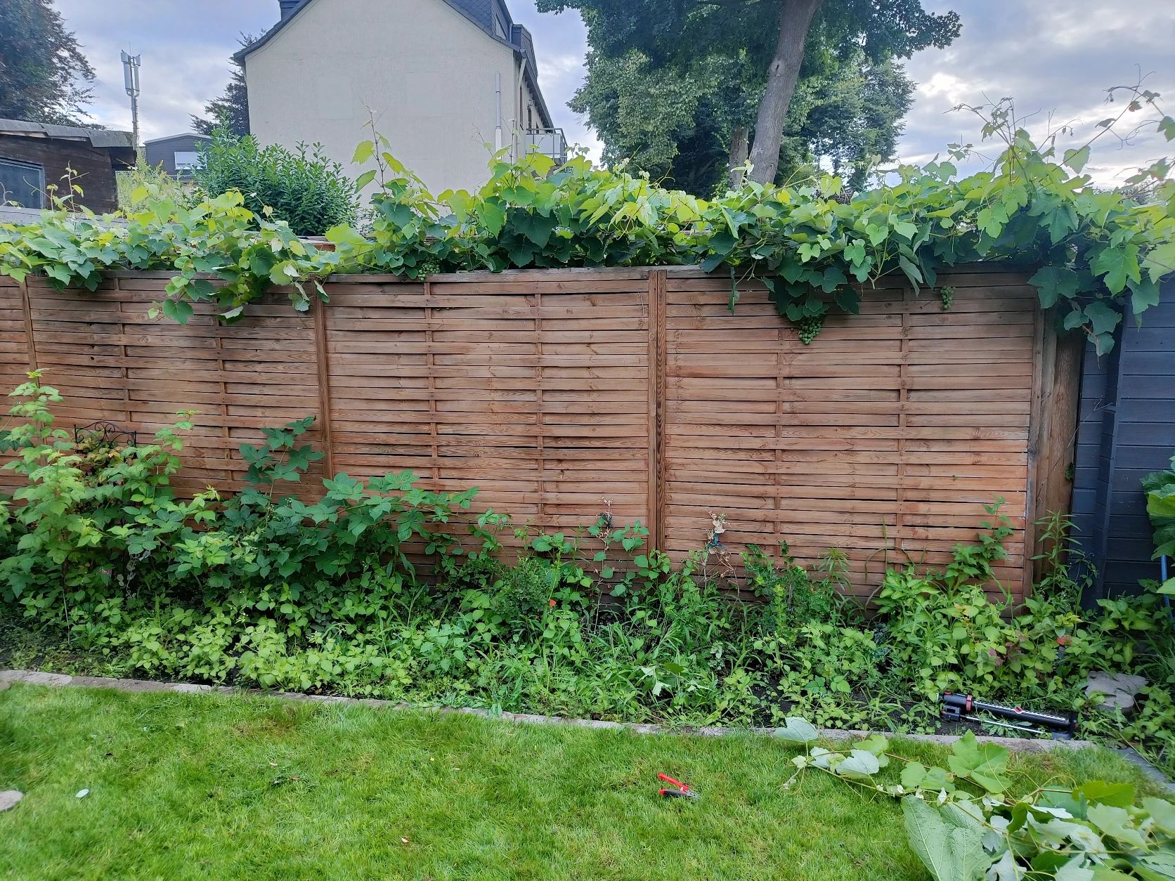image-25