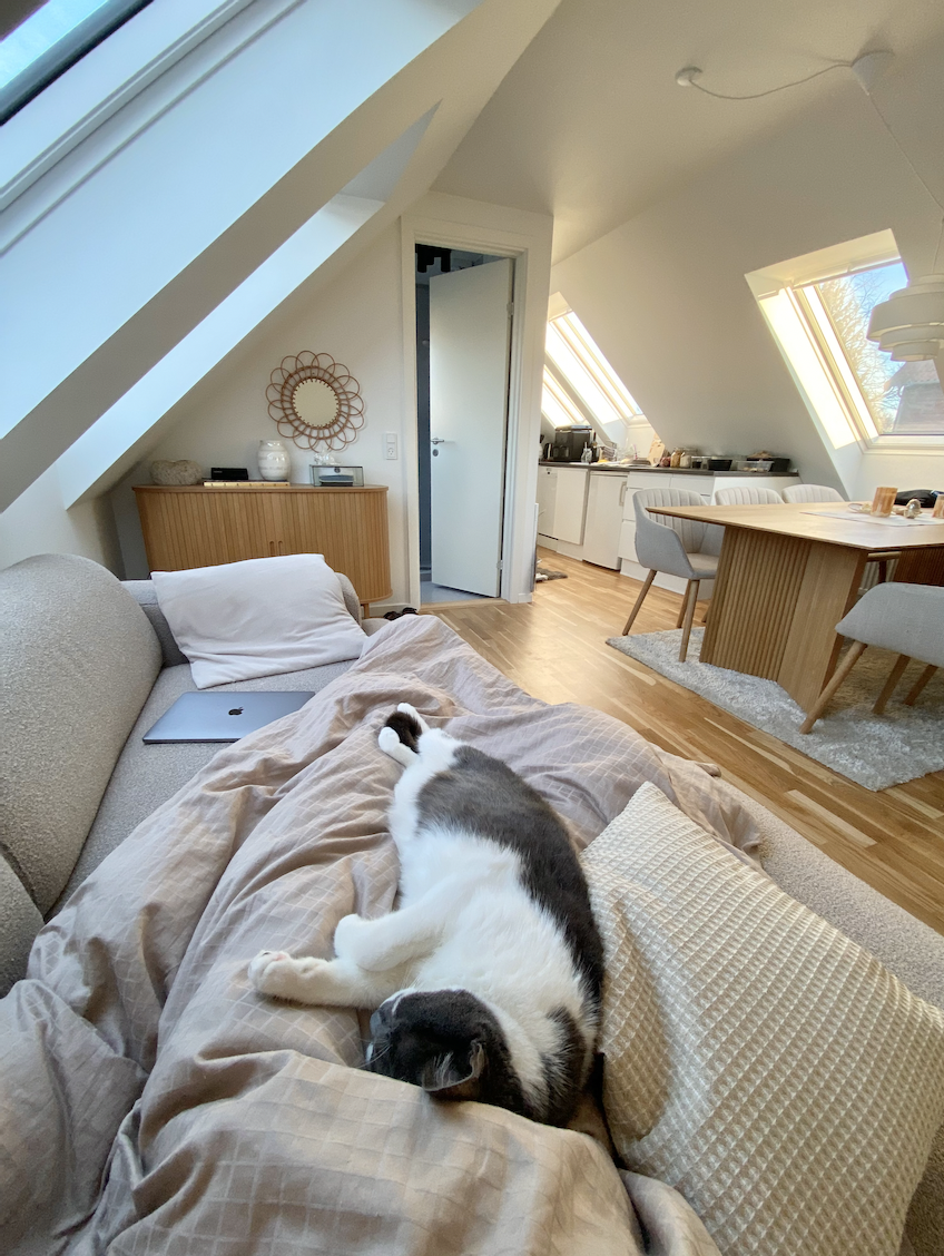 image-18