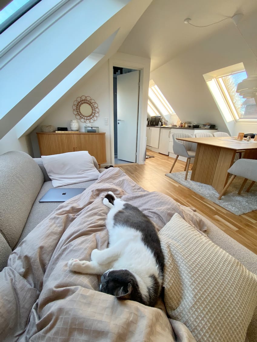 image-18