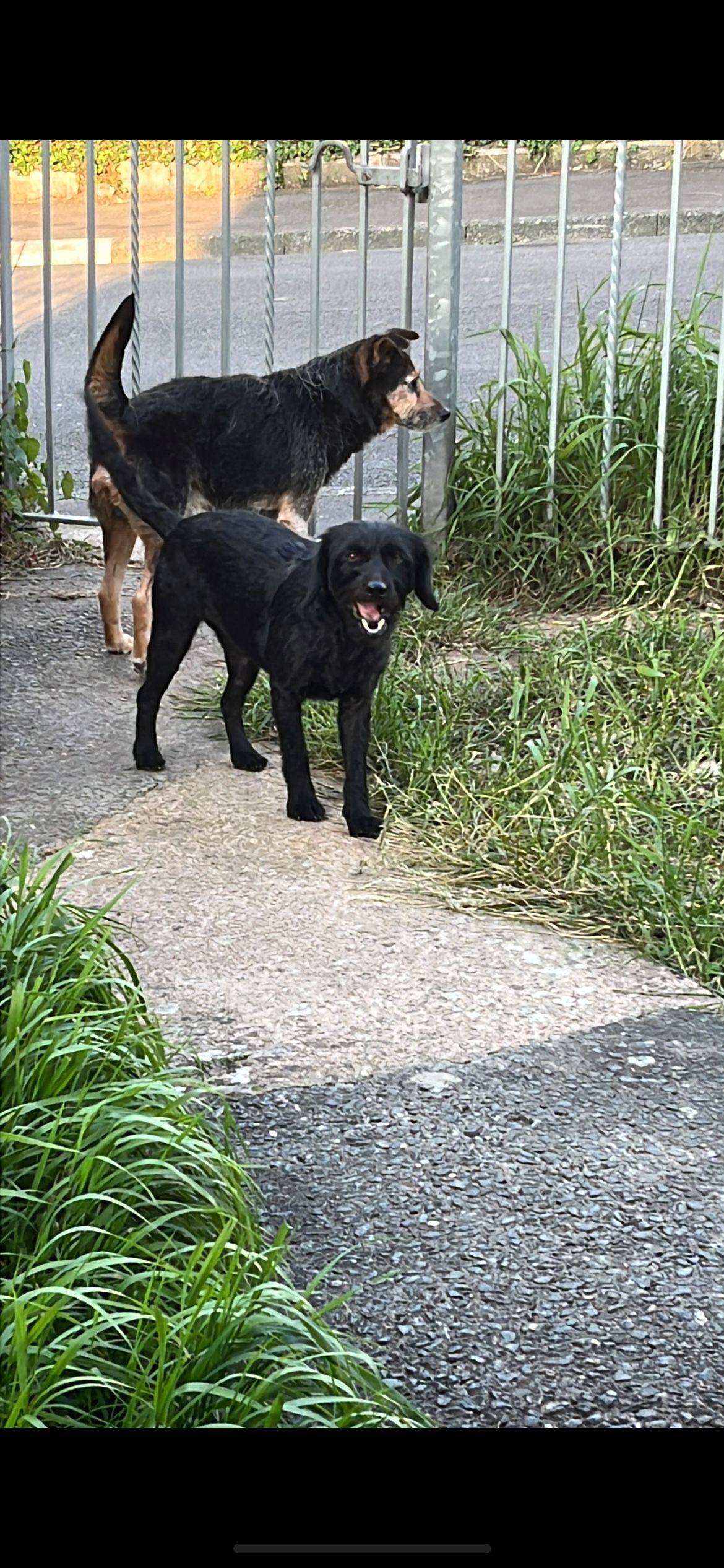 image-18